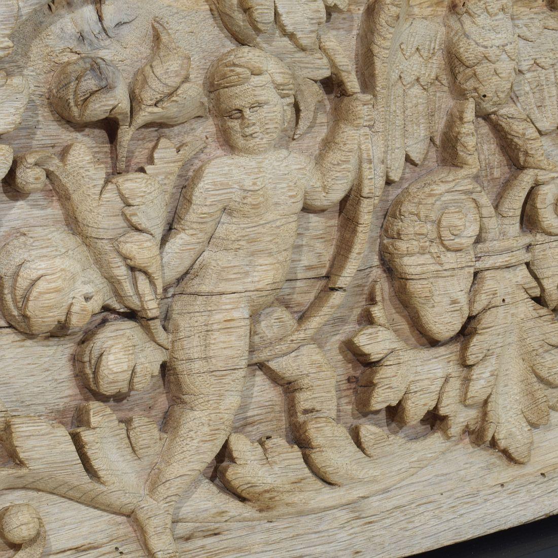 Pannello francese intagliato in Oak del XVIII secolo raffigurante due angeli e un'aquila in vendita 3