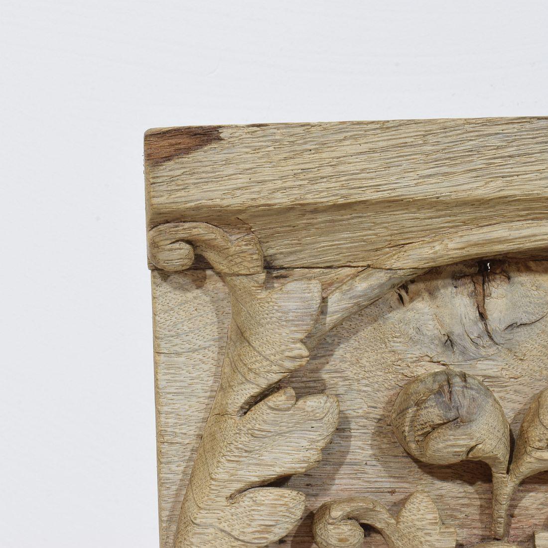18. Jahrhundert Französisch geschnitzte Eiche Panel, das zwei Engel und ein Adler zeigt im Angebot 10