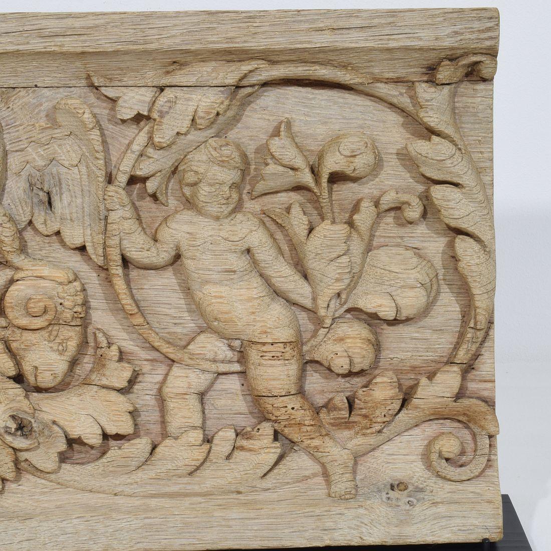 Panneau en chêne sculpté français du 18ème siècle représentant deux anges et un aigle en vente 1