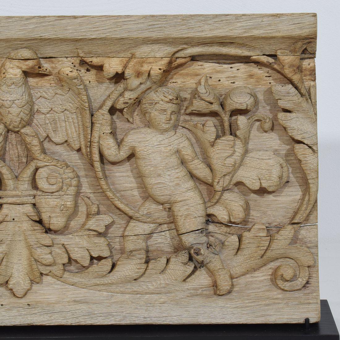 Pannello francese intagliato in Oak del XVIII secolo raffigurante due angeli e un'aquila in vendita 1