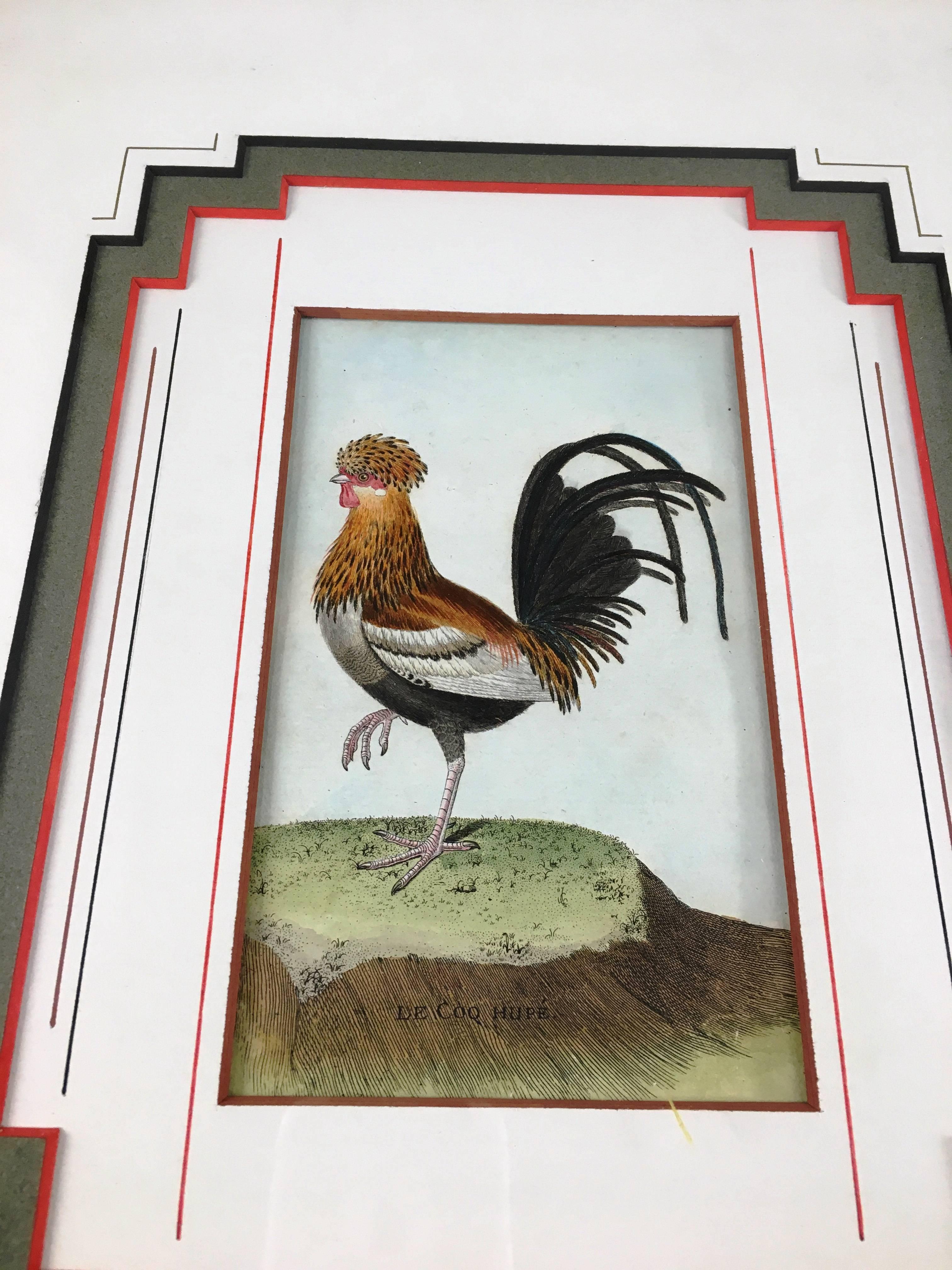 18th Century French Engraving of Rooster by Martinet 1