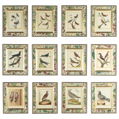 Gravures d'oiseaux françaises du 18e siècle