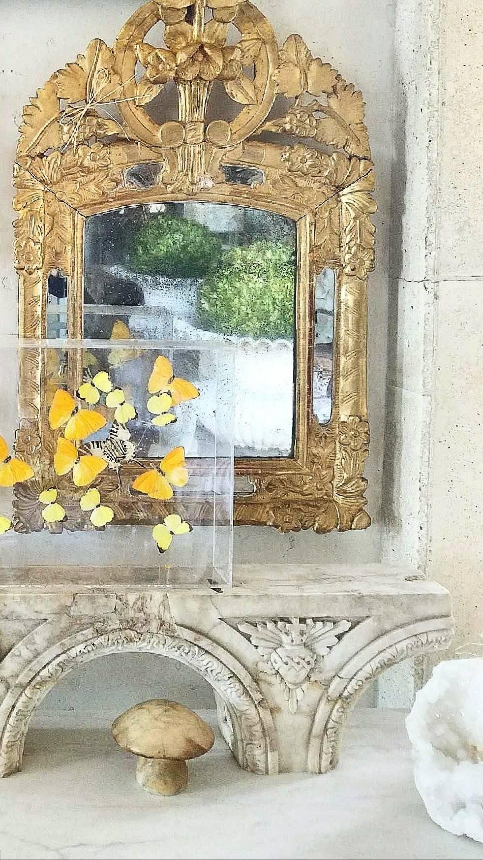 This antique French mirror is a wonderfully typical example of 18th century Provence with its Grape vine and rose crest and heavy gilt carvings of flowers and leaves. The original mercury mirror is perfectly foxed yet reflective.
 