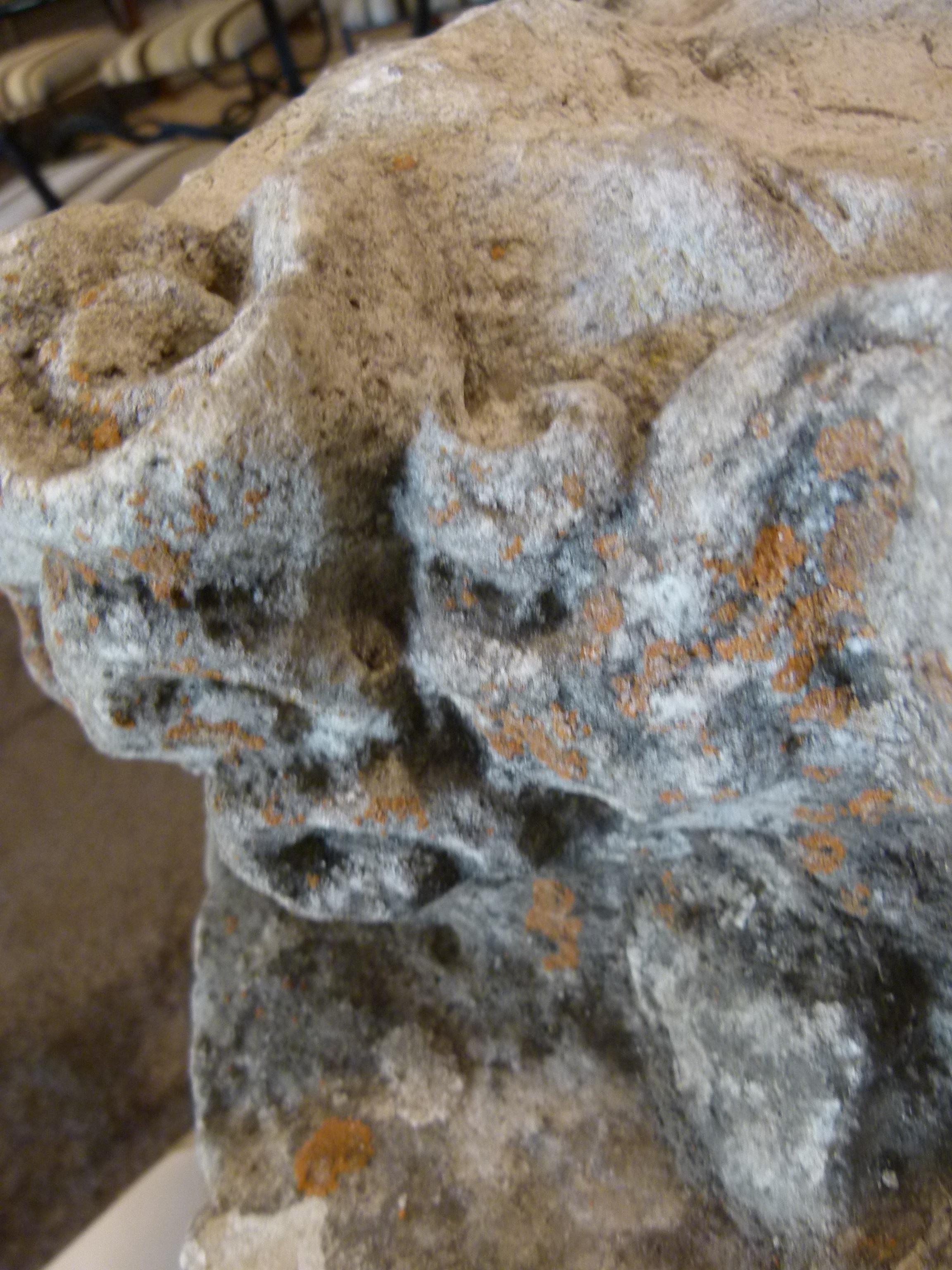 French Limestone Capital representing the head of a woman 1