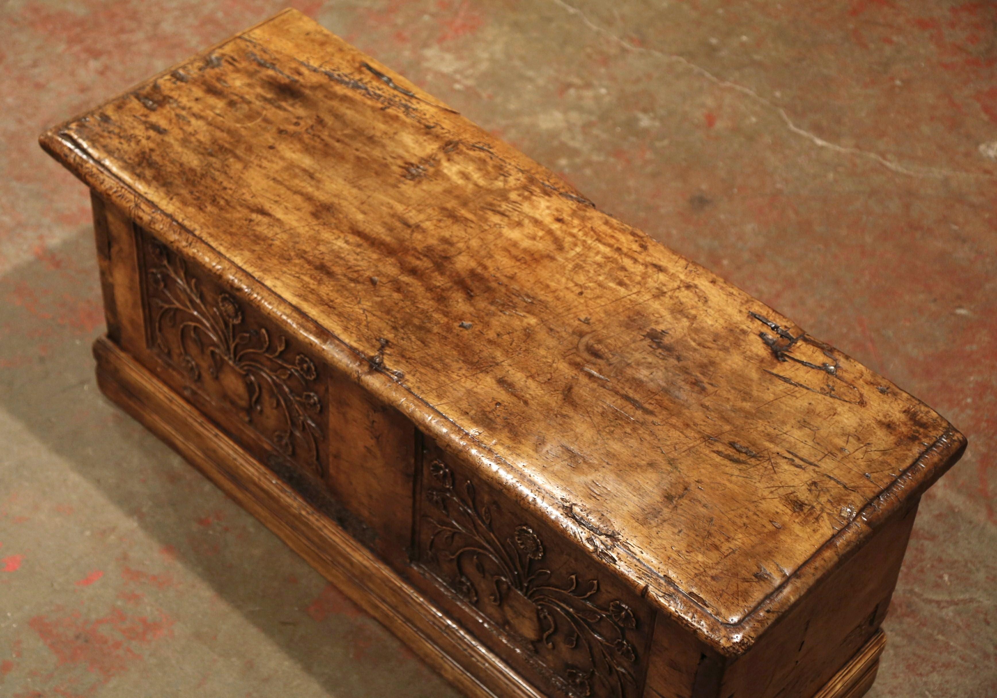 18th Century French Louis XIII Carved Walnut Coffer Trunk from The Pyrenees 4