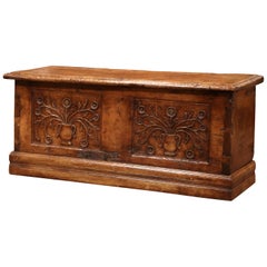 18th Century French Louis XIII Carved Walnut Coffer Trunk from The Pyrenees
