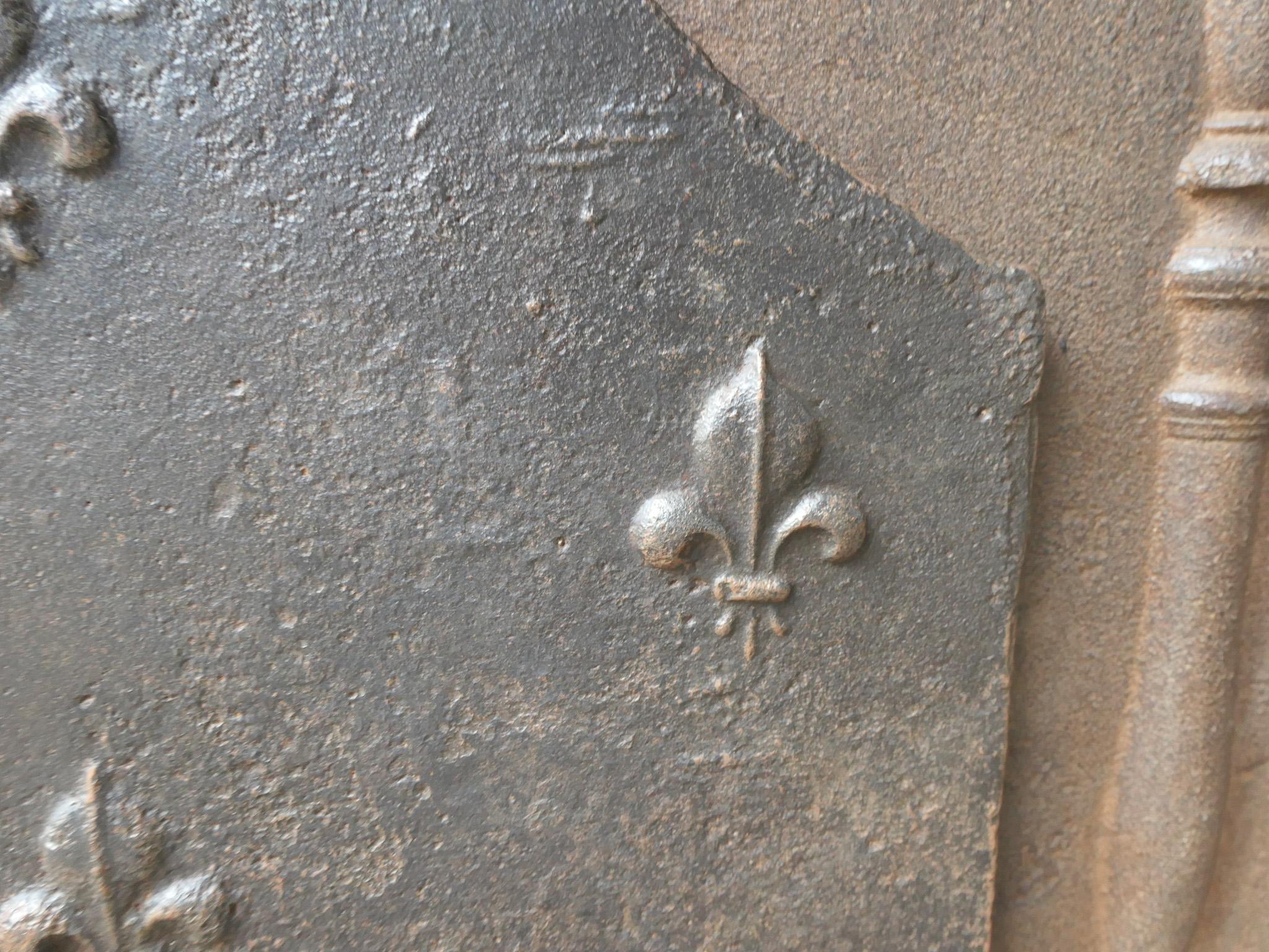 Parafuoco francese Luigi XV del 18° secolo con i Fleurs De Lys in vendita 3