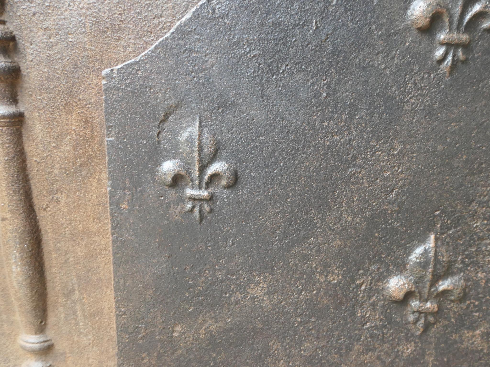 Parafuoco francese Luigi XV del 18° secolo con i Fleurs De Lys in vendita 4