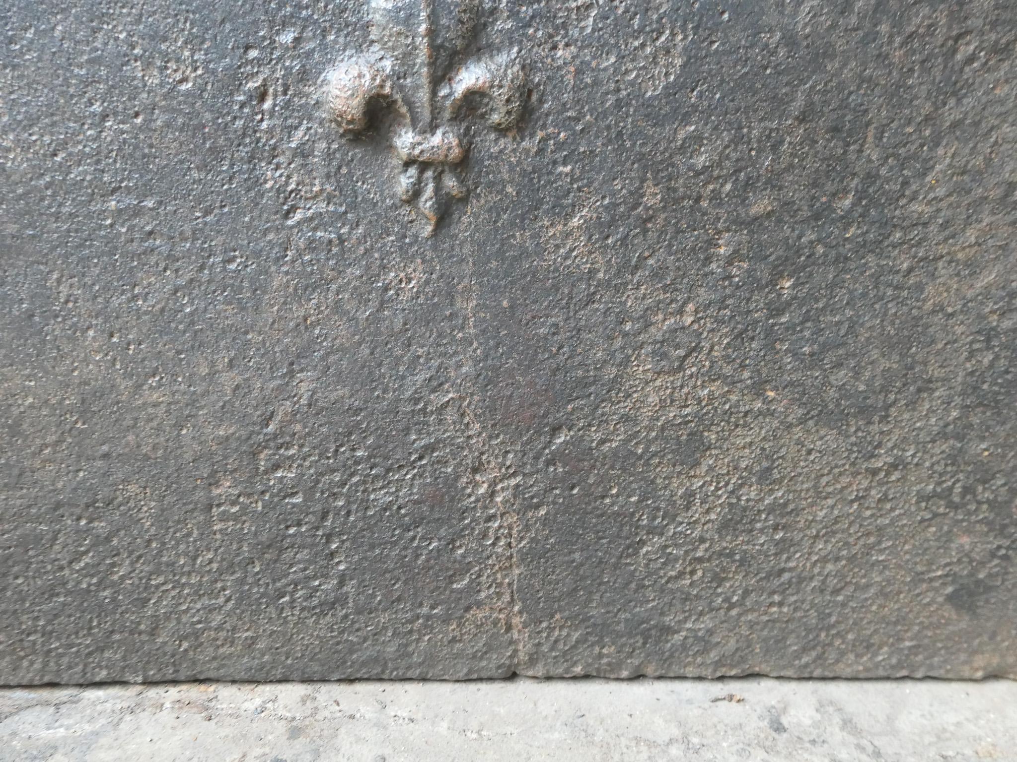 Parafuoco francese Luigi XV del 18° secolo con i Fleurs De Lys in vendita 5