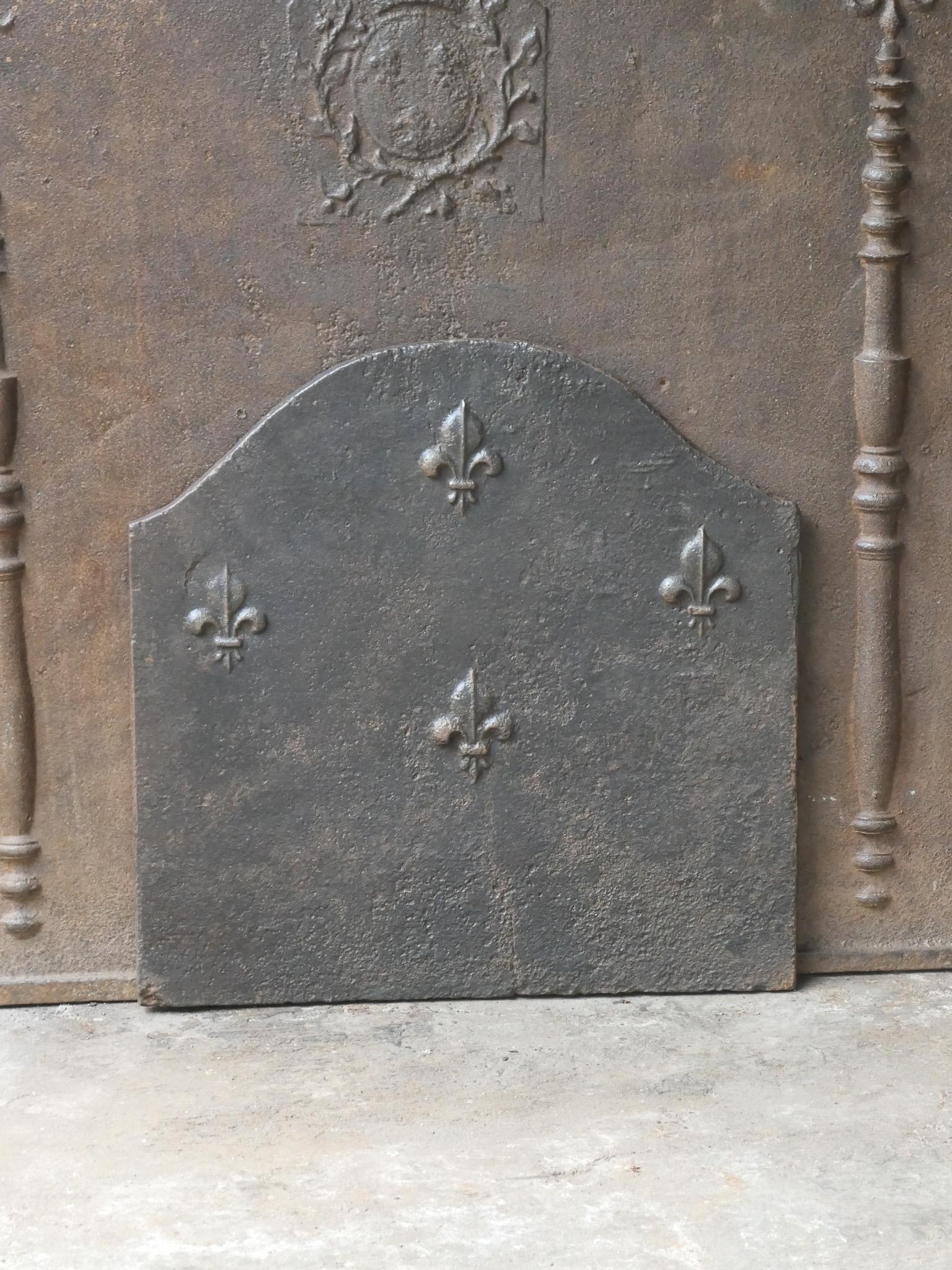 Calco Parafuoco francese Luigi XV del 18° secolo con i Fleurs De Lys in vendita