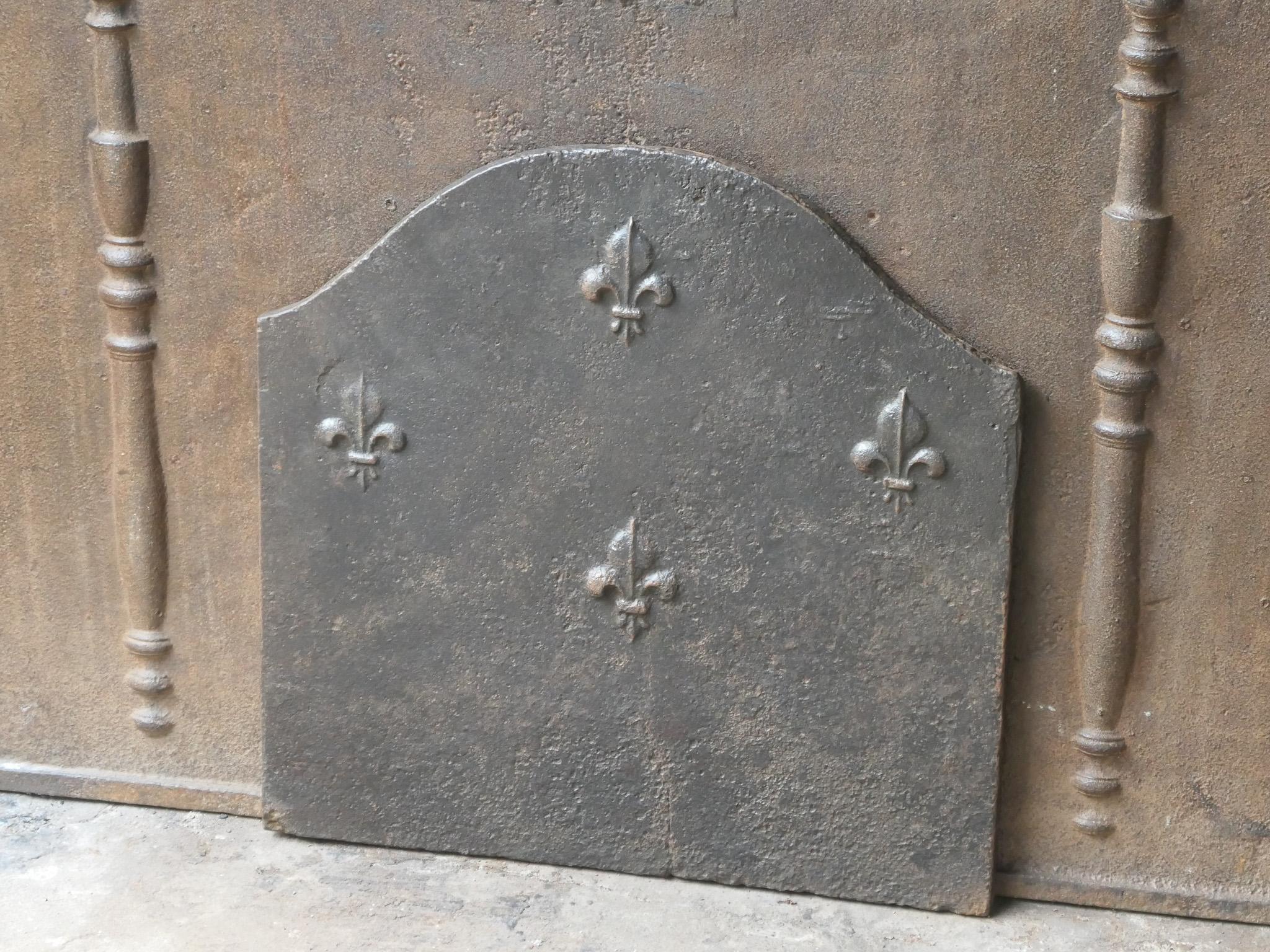 Fino al XVIII secolo Parafuoco francese Luigi XV del 18° secolo con i Fleurs De Lys in vendita