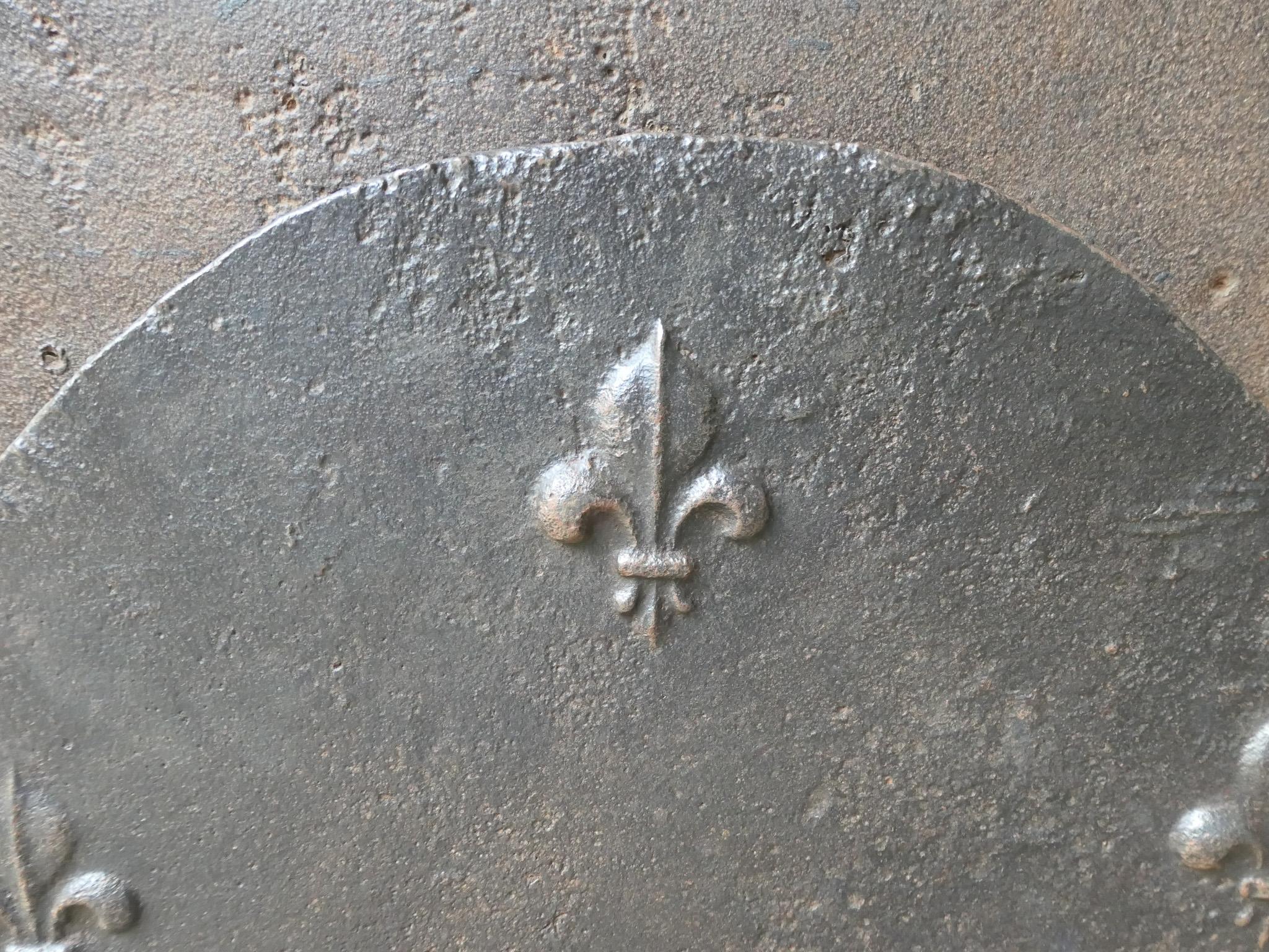 Parafuoco francese Luigi XV del 18° secolo con i Fleurs De Lys in vendita 1