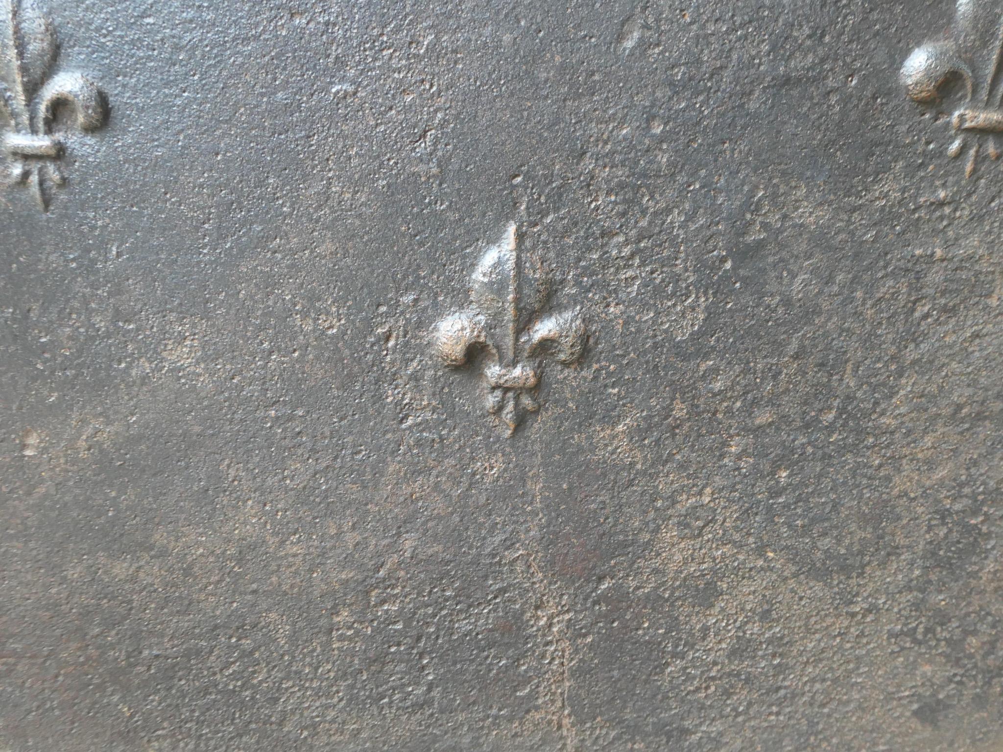 Parafuoco francese Luigi XV del 18° secolo con i Fleurs De Lys in vendita 2