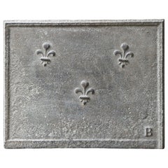 18th Century French Louis XV Fireback / Backsplash with Fleurs De Lys