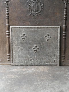 18th Century French Louis XV Fireback / Backsplash with Fleurs De Lys