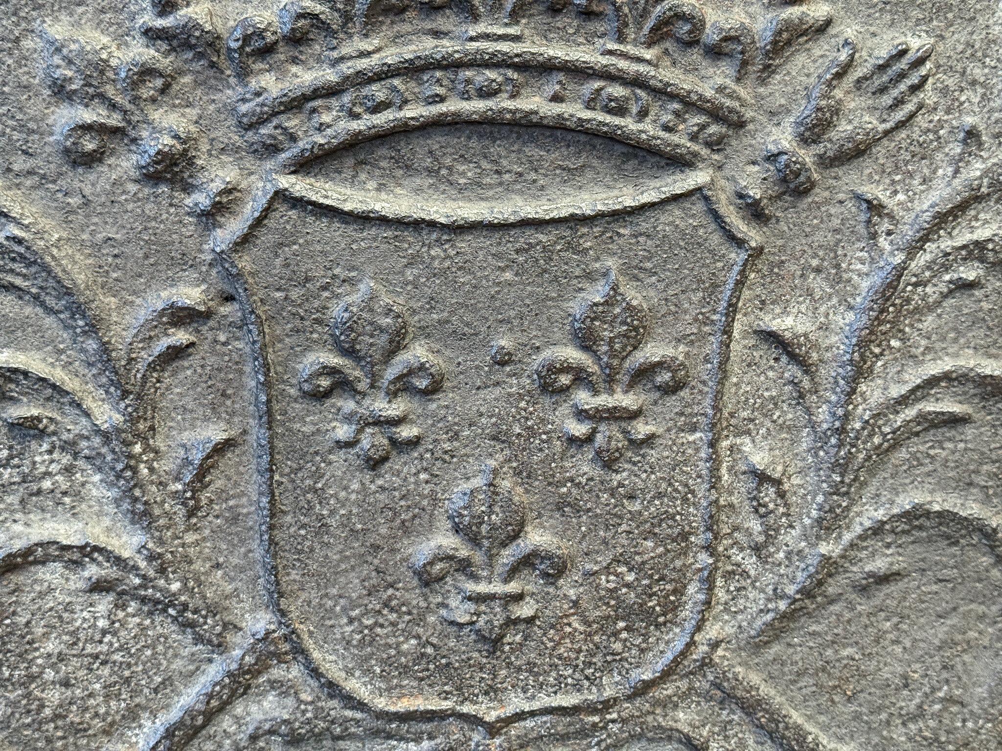 Armi di Francia del 18° secolo, periodo Luigi XV, con rivestimento per il caminetto / backsplash in vendita 3