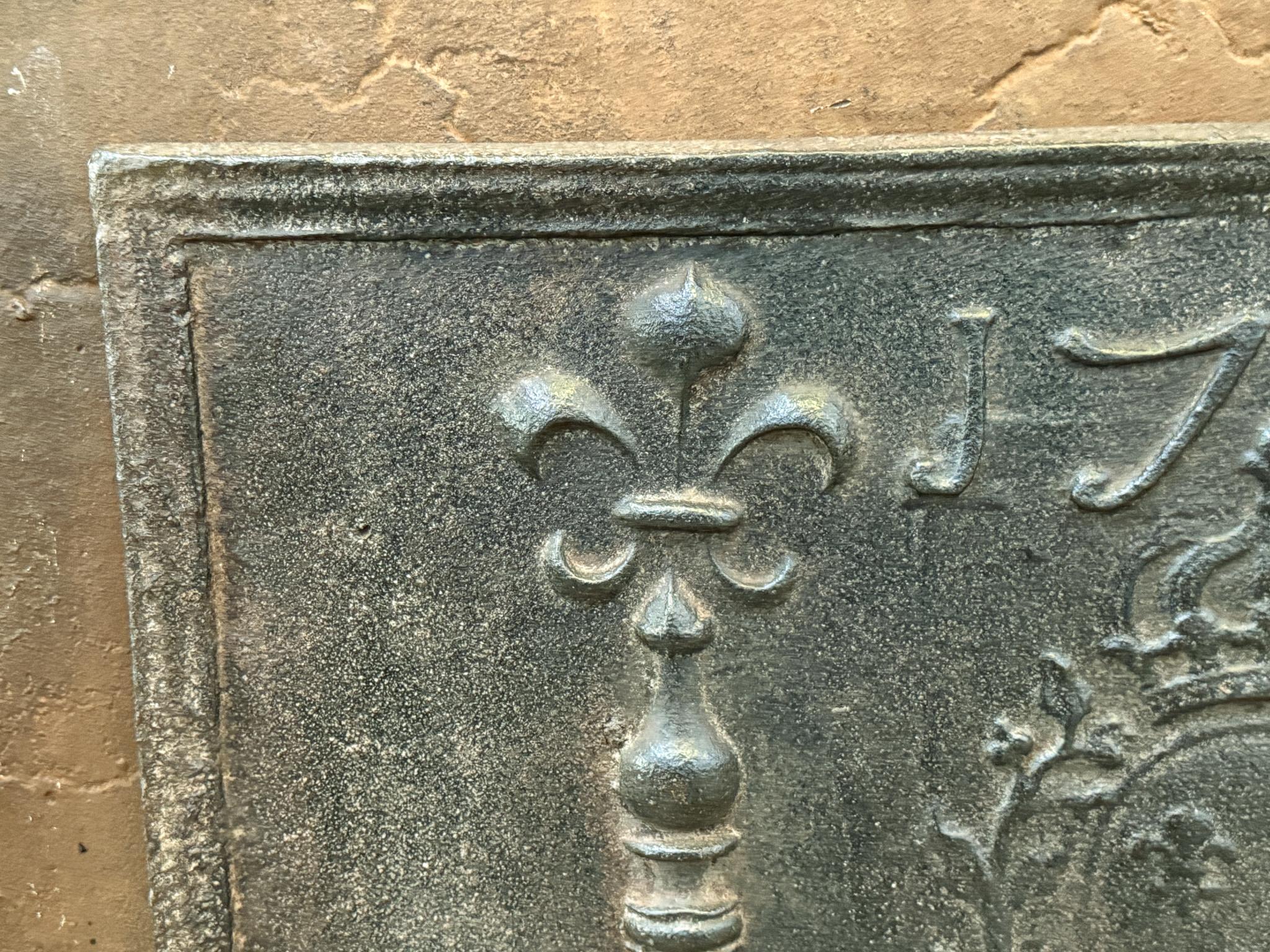 Französische „Arms of France“-Feuerböcke aus der Louis-XV-Periode des 18. Jahrhunderts, Kaminsims / Rückwand im Angebot 1