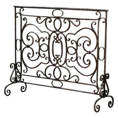 18th Century French Louis XV Polished Wrought Iron Fireplace Screen
