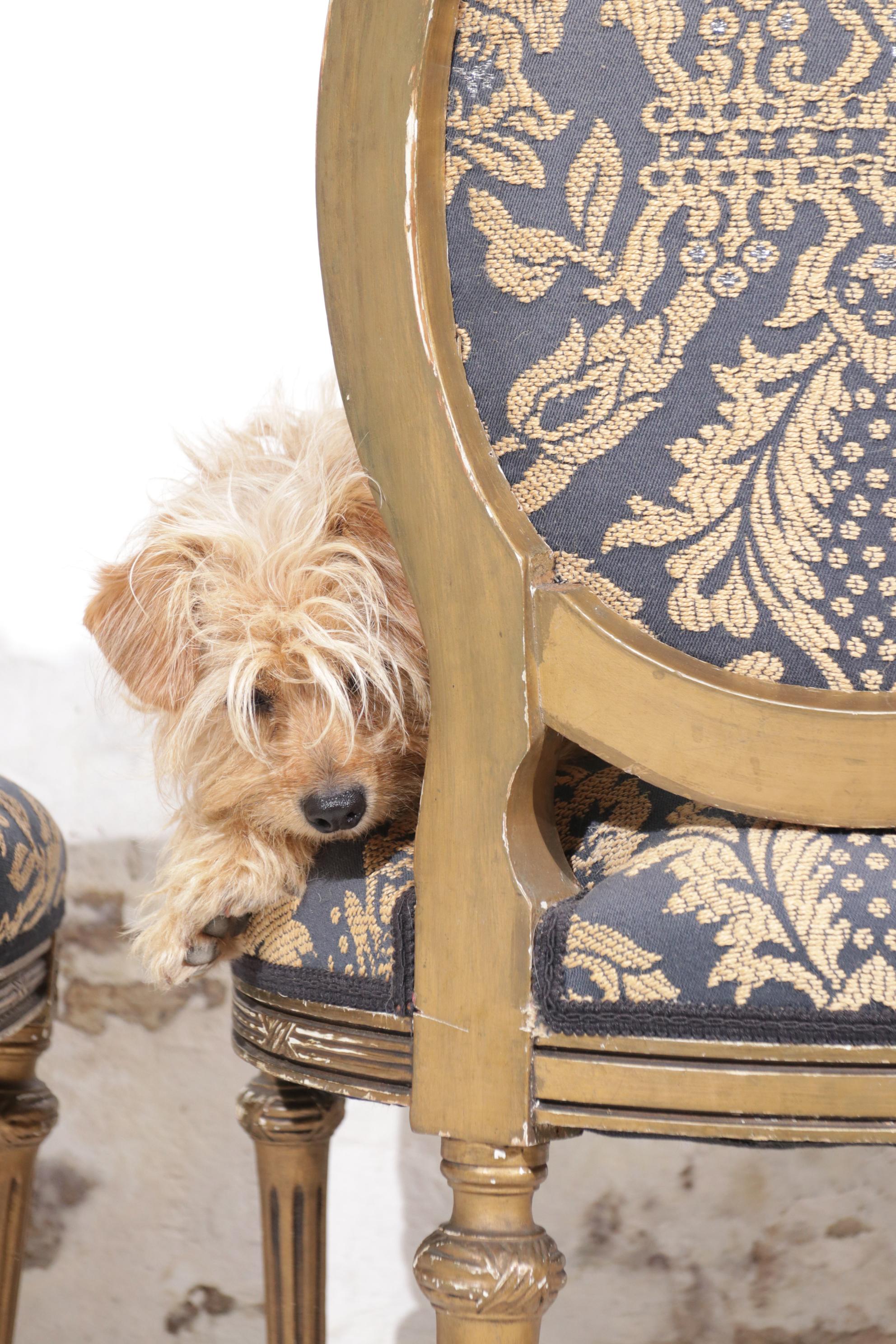 18th Century, French Louis XVI Side Chairs 11