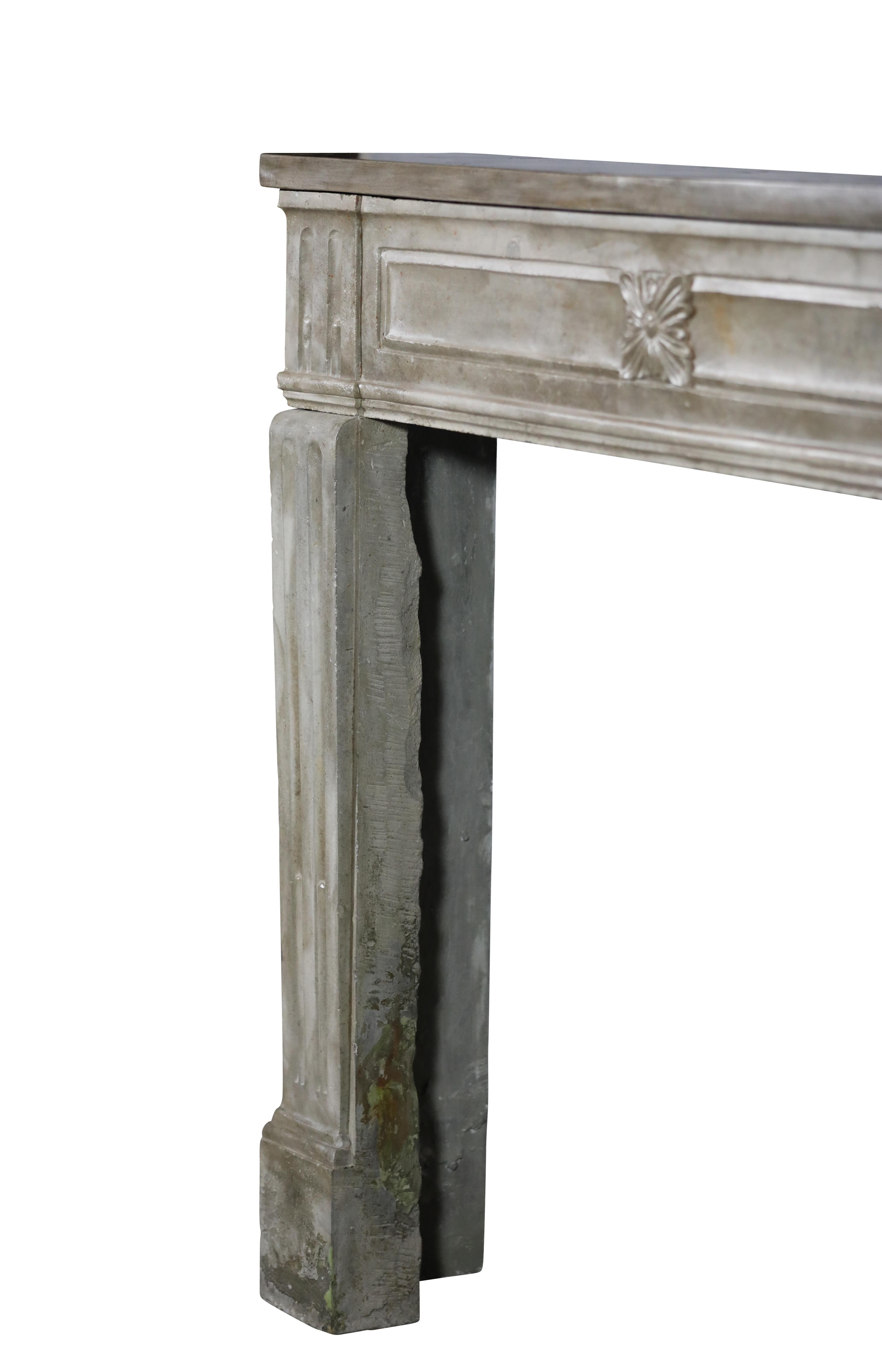 18th Century French Louis XVI Statement Fireplace From Paris For Sale 5