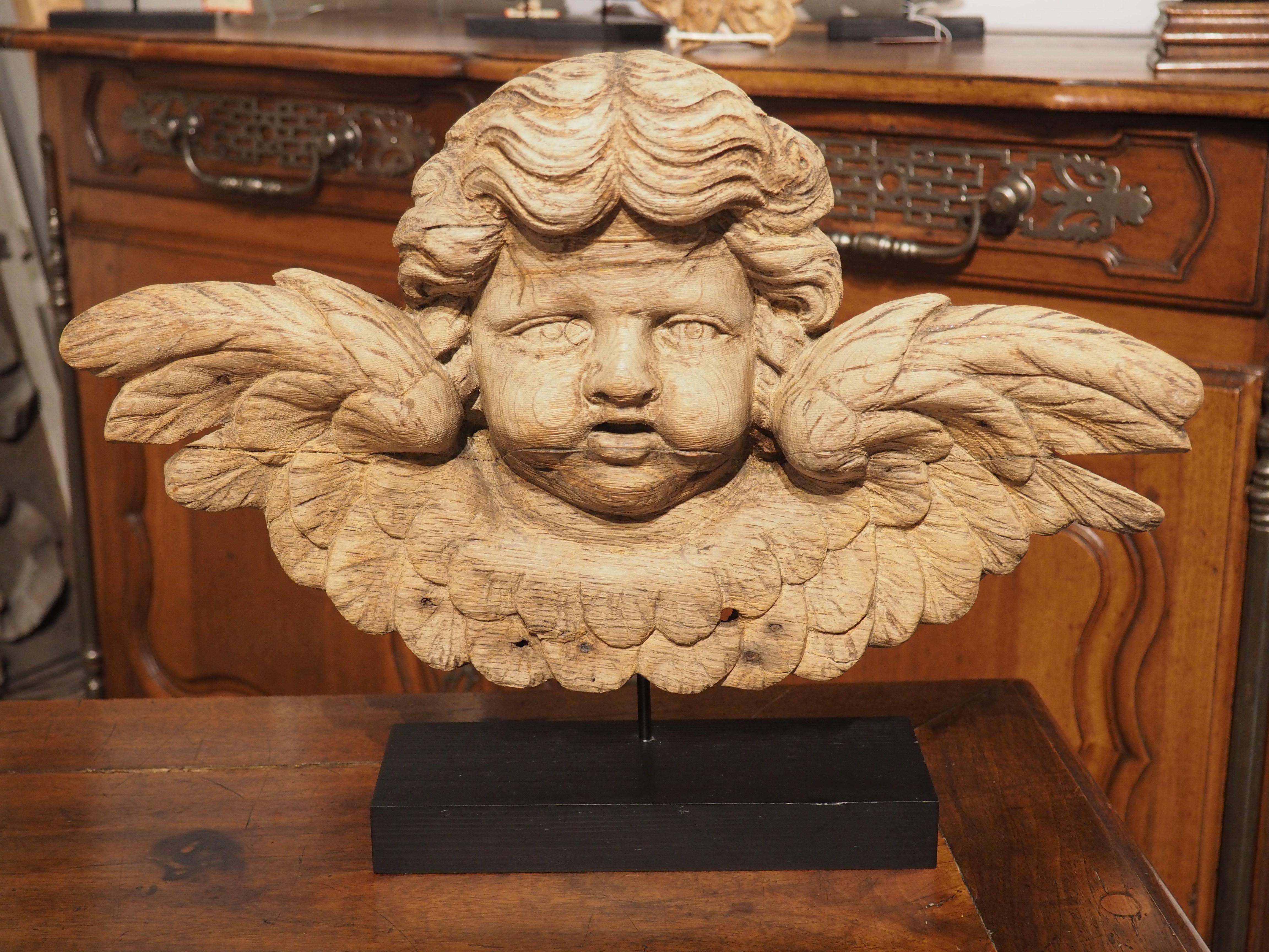 18th Century French Oak Winged Cherub Carving on Stand 4