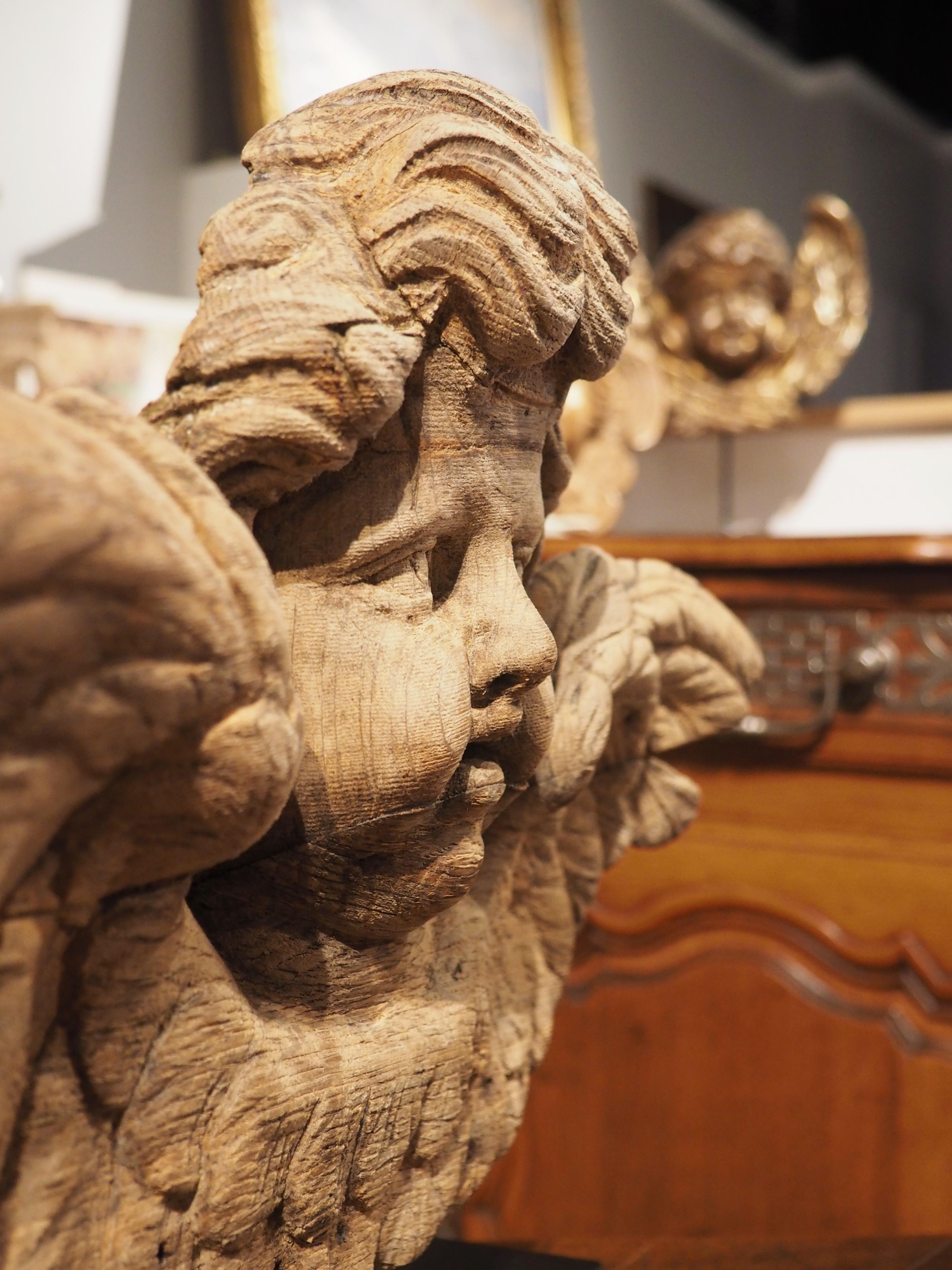 18th Century French Oak Winged Cherub Carving on Stand 2