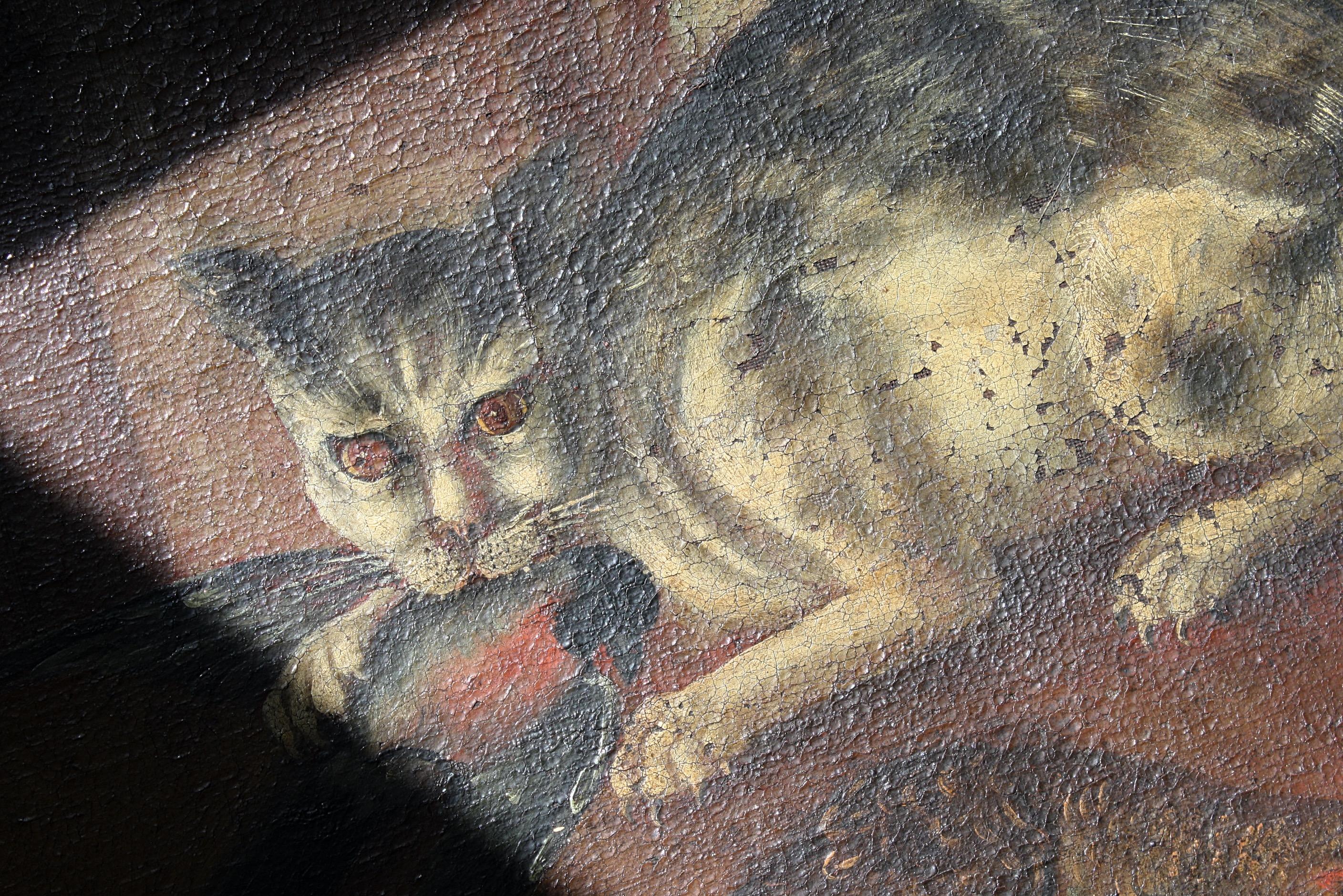 18th Century French School Provincial Folk Art Oil on Canvas the Unruly Cat 3