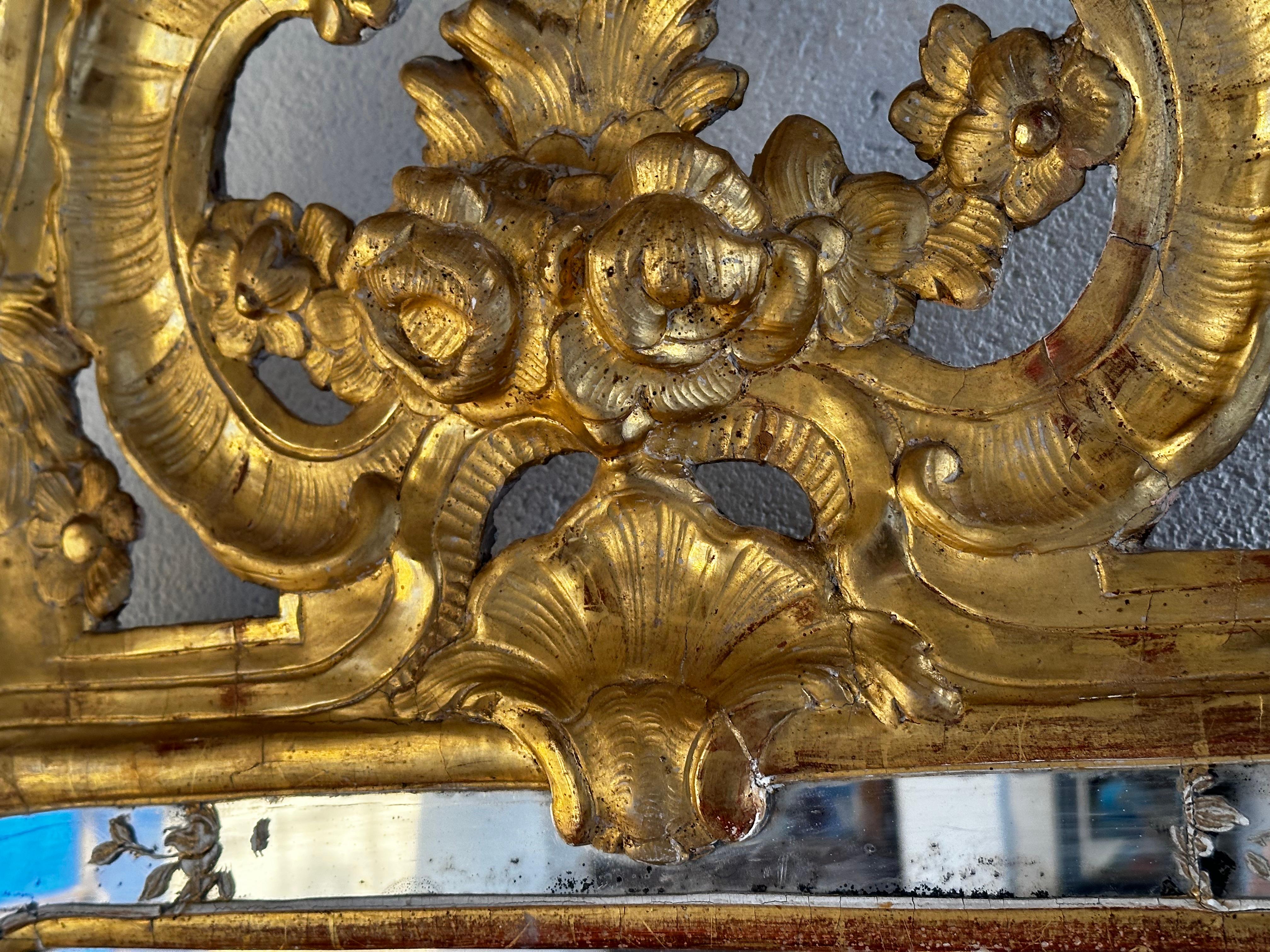 Swedish 18th Century Full-Length mirror For Sale
