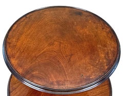 18th Century Georgian Two Tier Dumbwaiter