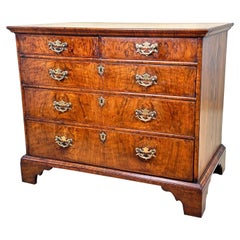 18th Century Georgian Walnut Chest Of Drawers