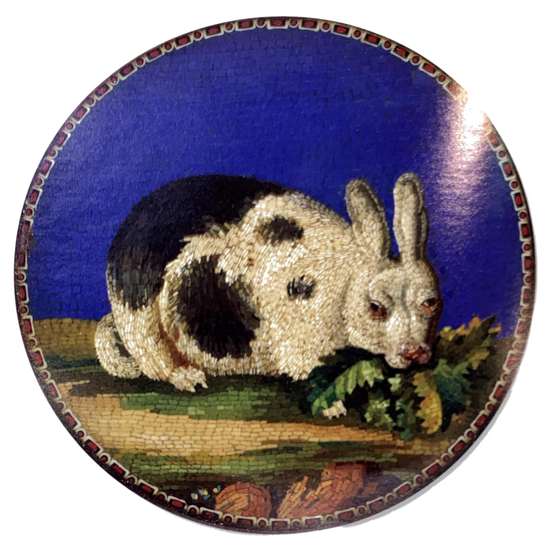 18. Jahrhundert  Giacomo Raffaelli Mikro-Mosaik-Kaninchen-Plakette

Ein Mikromosaik, das ein fettes Kaninchen darstellt, das Blätter frisst, in einem Holzrahmen. Hergestellt von dem Mosaizisten Giacomo Raffaelli Ende des 18.