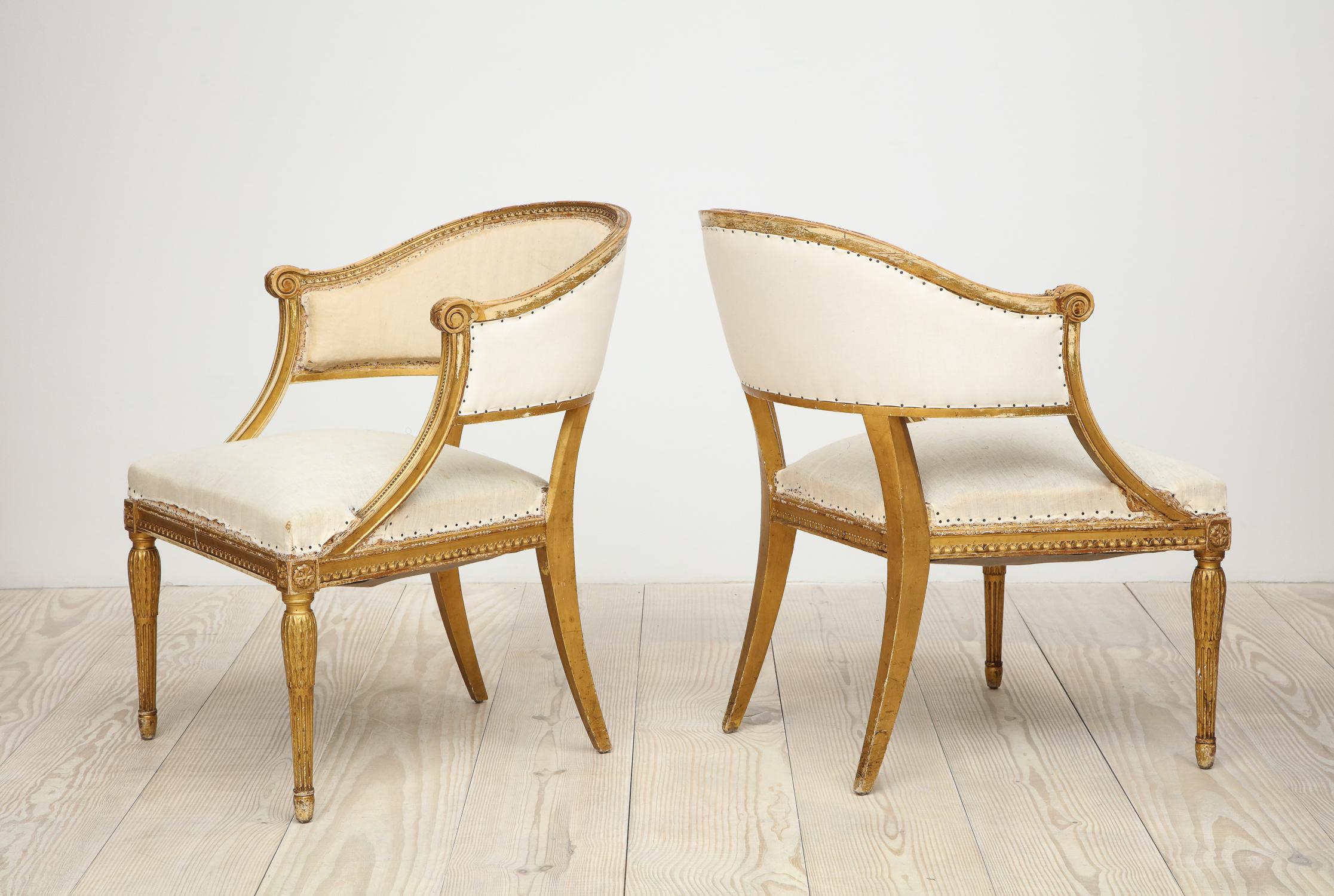 Hand-Carved 18th Century Giltwood Gustavian Bucket Chairs, Set of 4, Sweden, Circa 1790-1800 For Sale