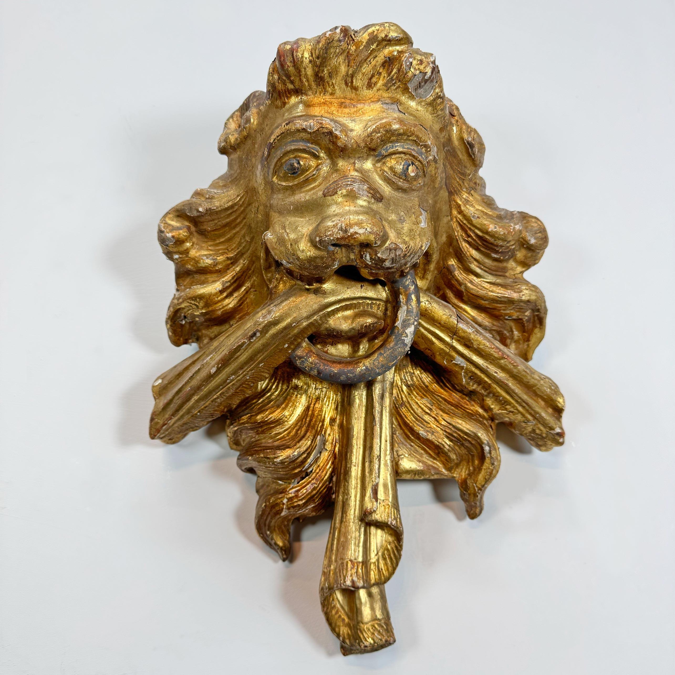 Elemento decorativo in legno dorato del XVIII secolo con testa di leone 3