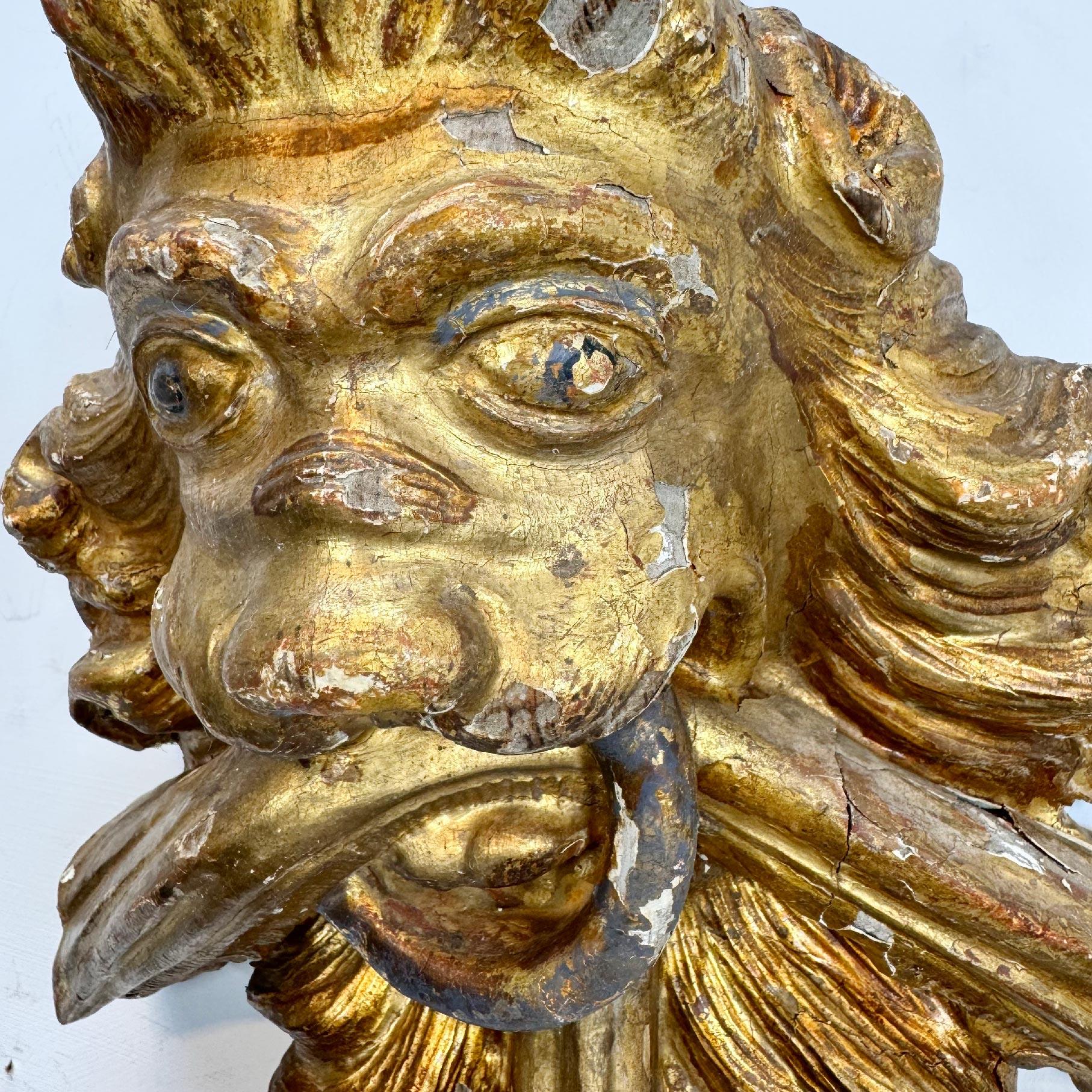 Majestic testa di leone in legno intagliato, con gesso e doratura applicati, questo splendido elemento decorativo risale al XVIII secolo, probabilmente proveniente dal Nord Italia. Volto e criniera di leone profondamente scolpiti, in bocca tiene un