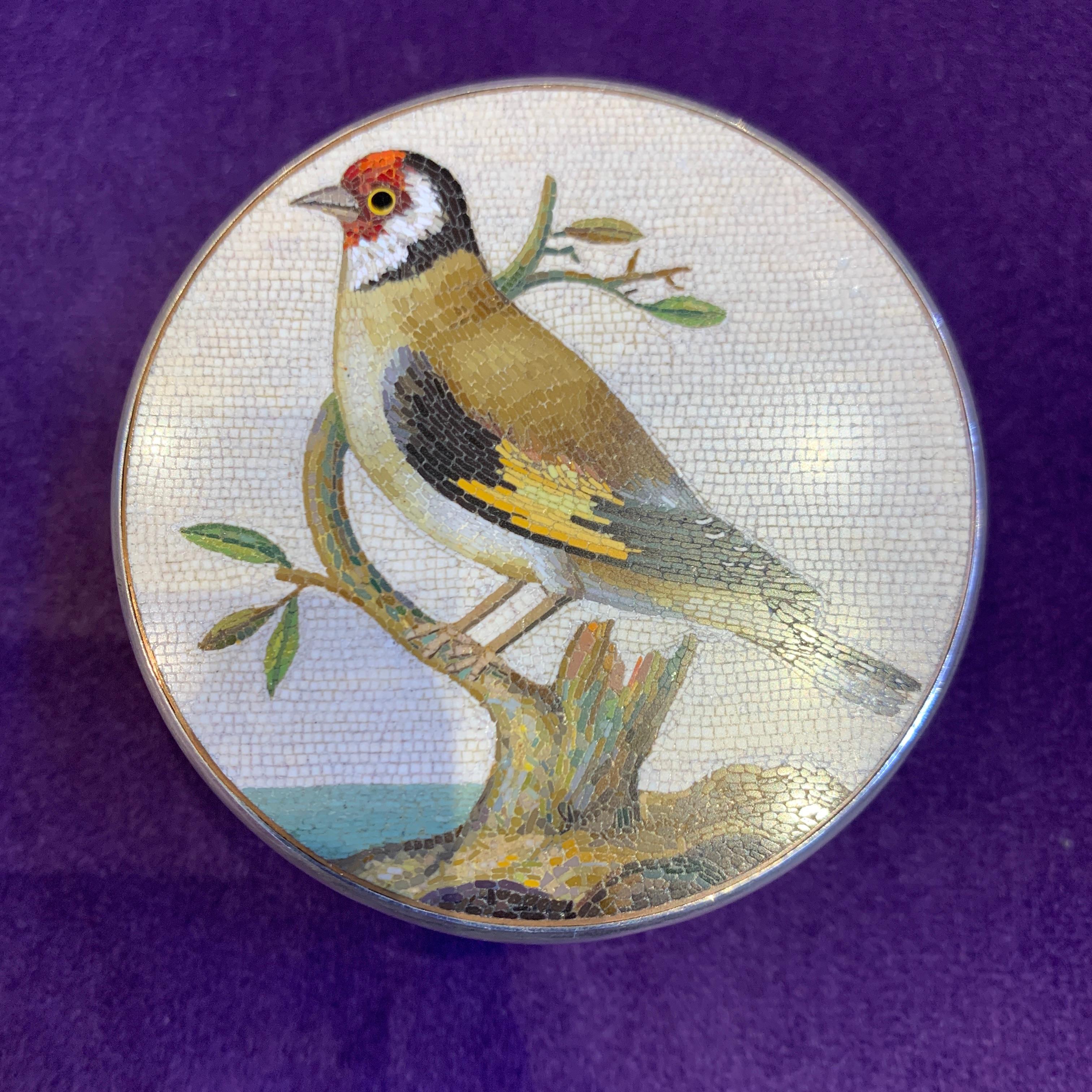 goldfinches for sale