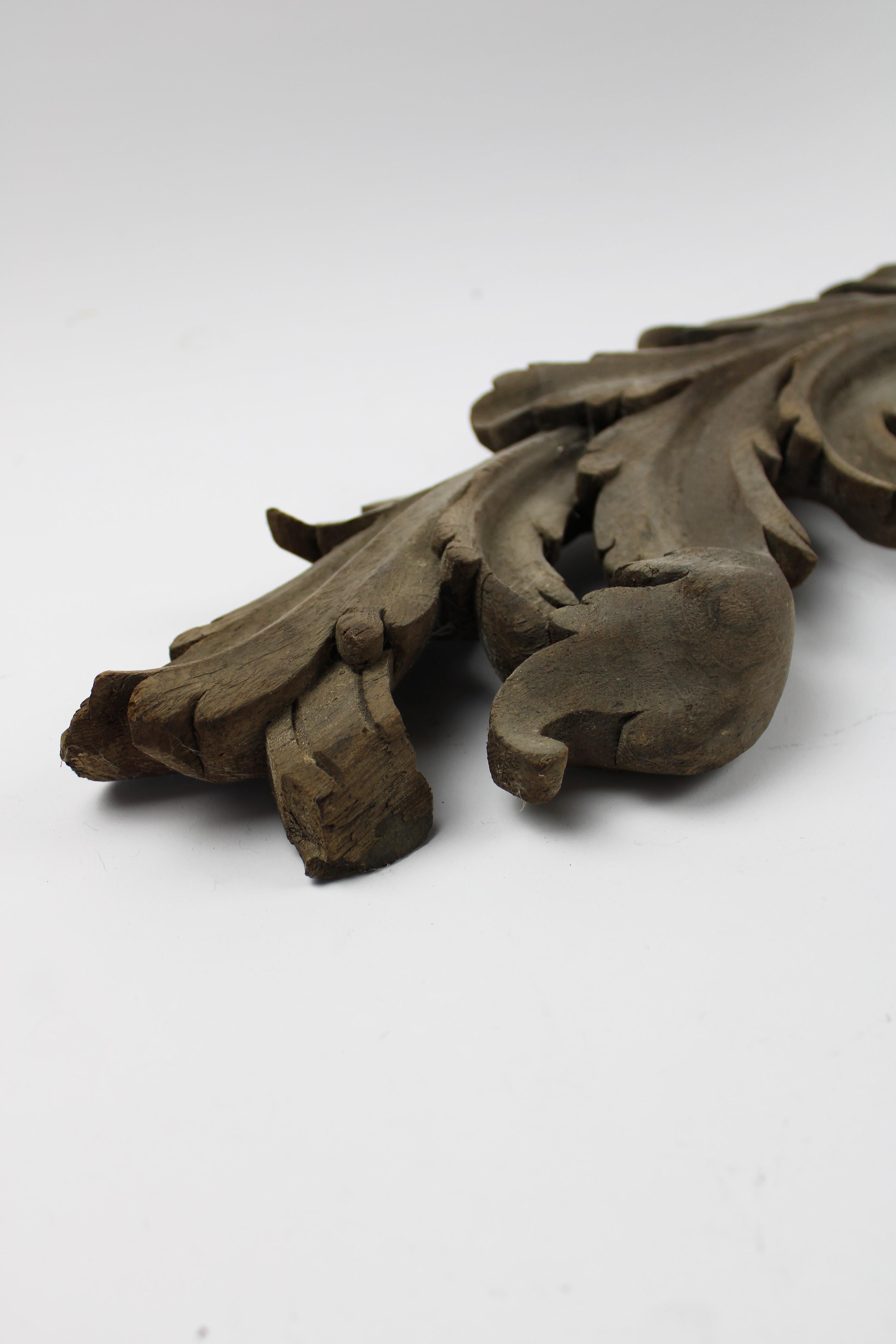 Hand-Carved 18th century Hand carved Architectural wooden Fragment Acanthus leaves France For Sale
