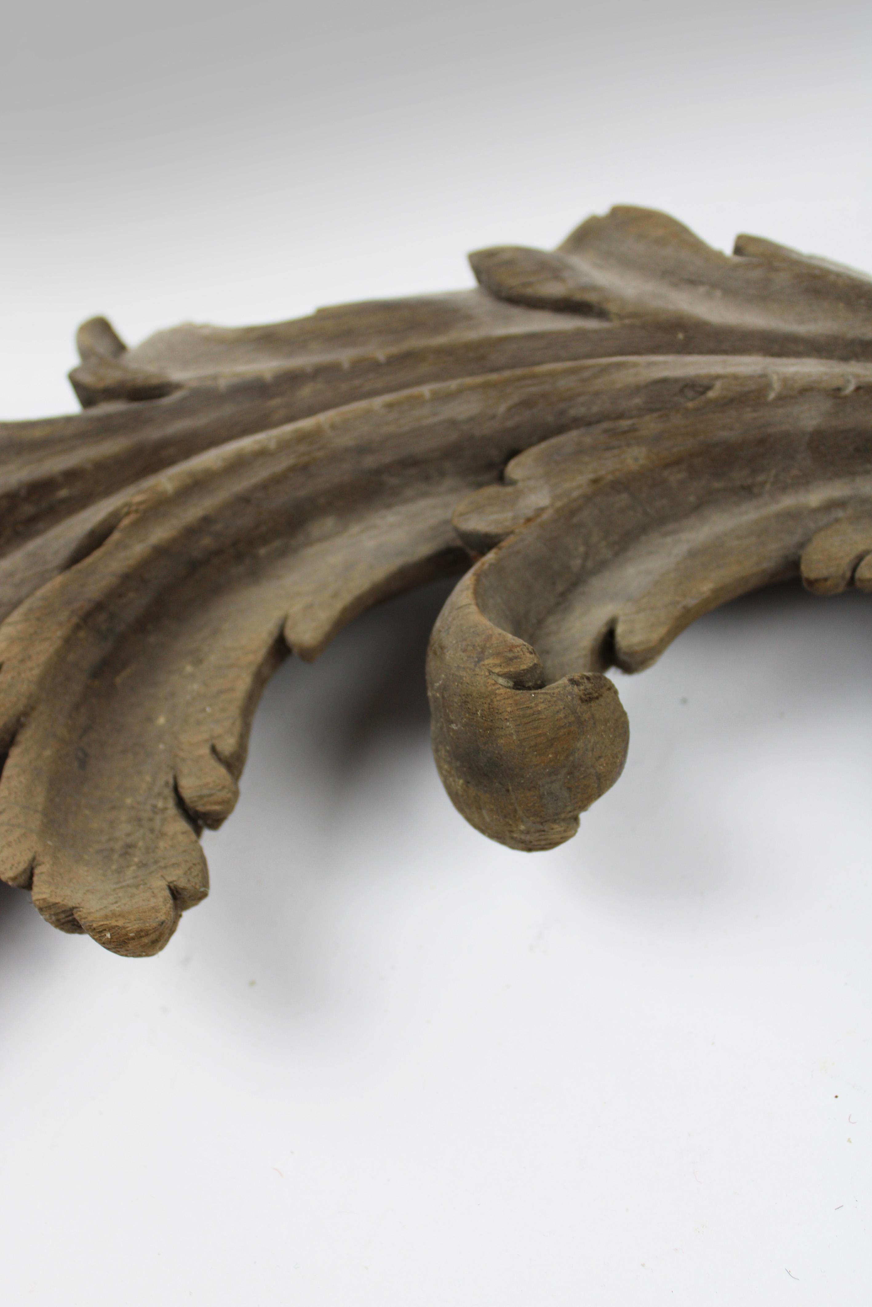 18th Century 18th century Hand carved Architectural wooden Fragment Acanthus leaves France For Sale