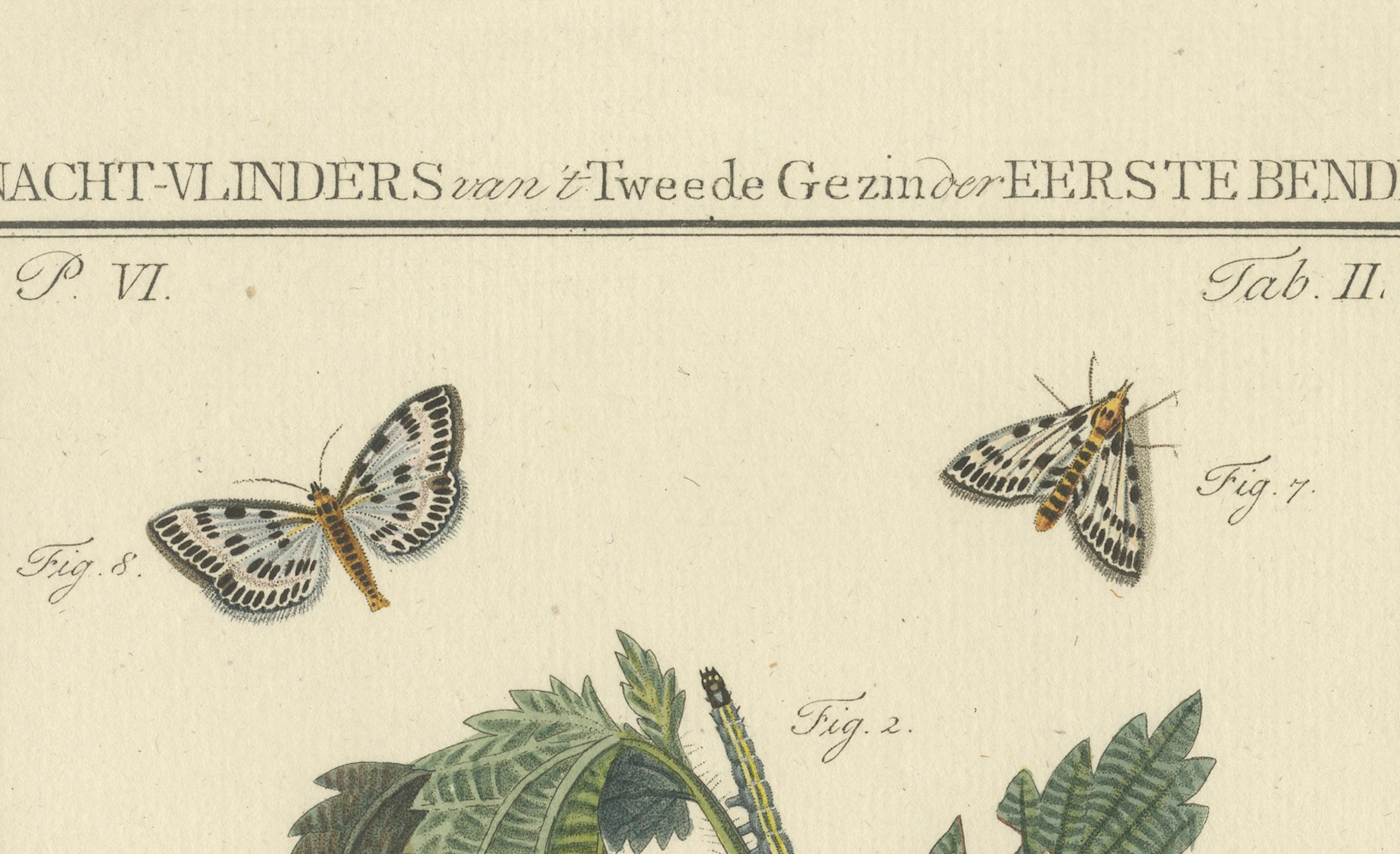 Handkolorierte Gravur von Moths und Larvaen mit Netten aus dem 18. Jahrhundert im Zustand „Hervorragend“ im Angebot in Langweer, NL