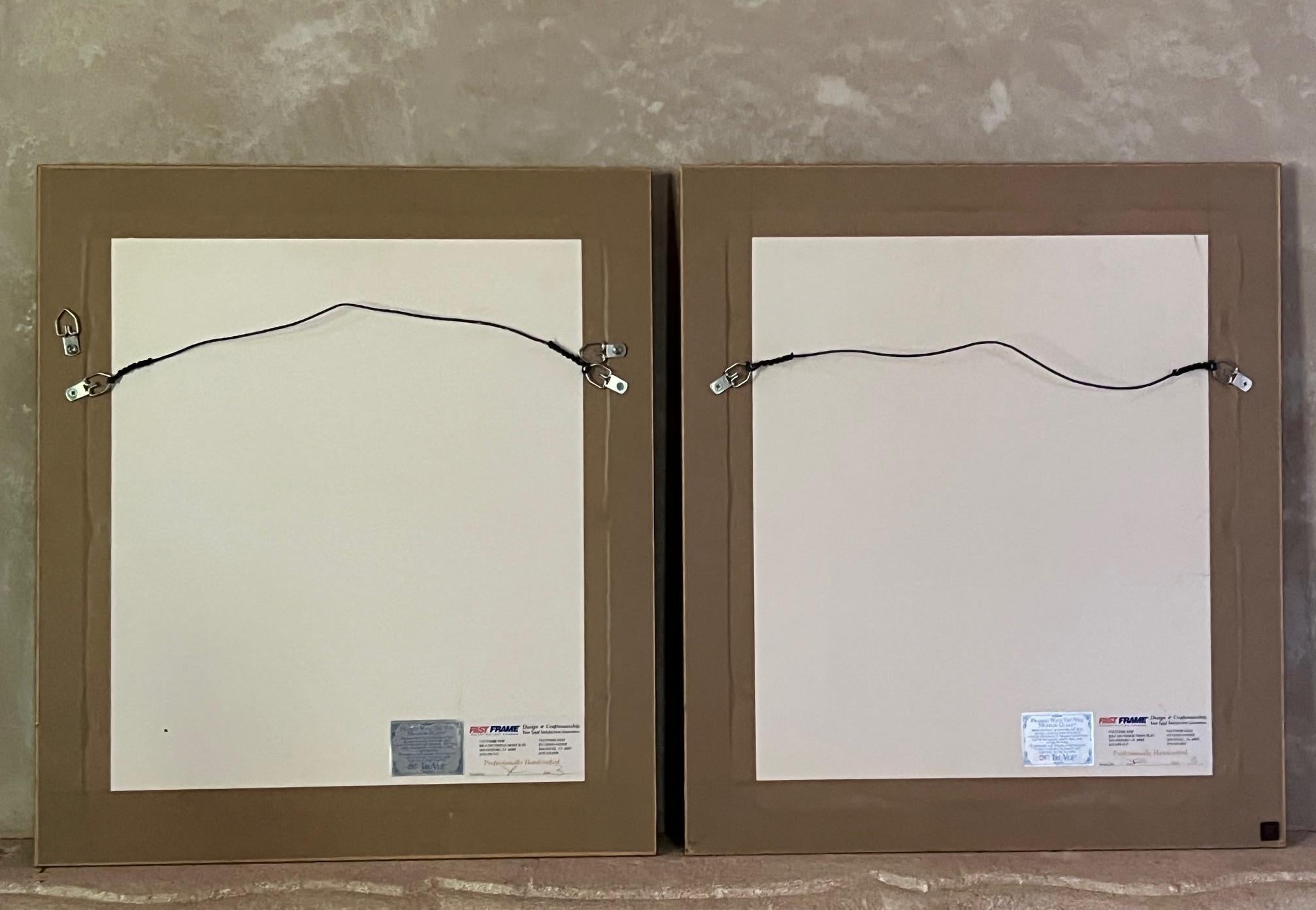 Handkolorierte Stiche von George Edwards aus dem 18. Jahrhundert, 2 Exemplare im Angebot 7