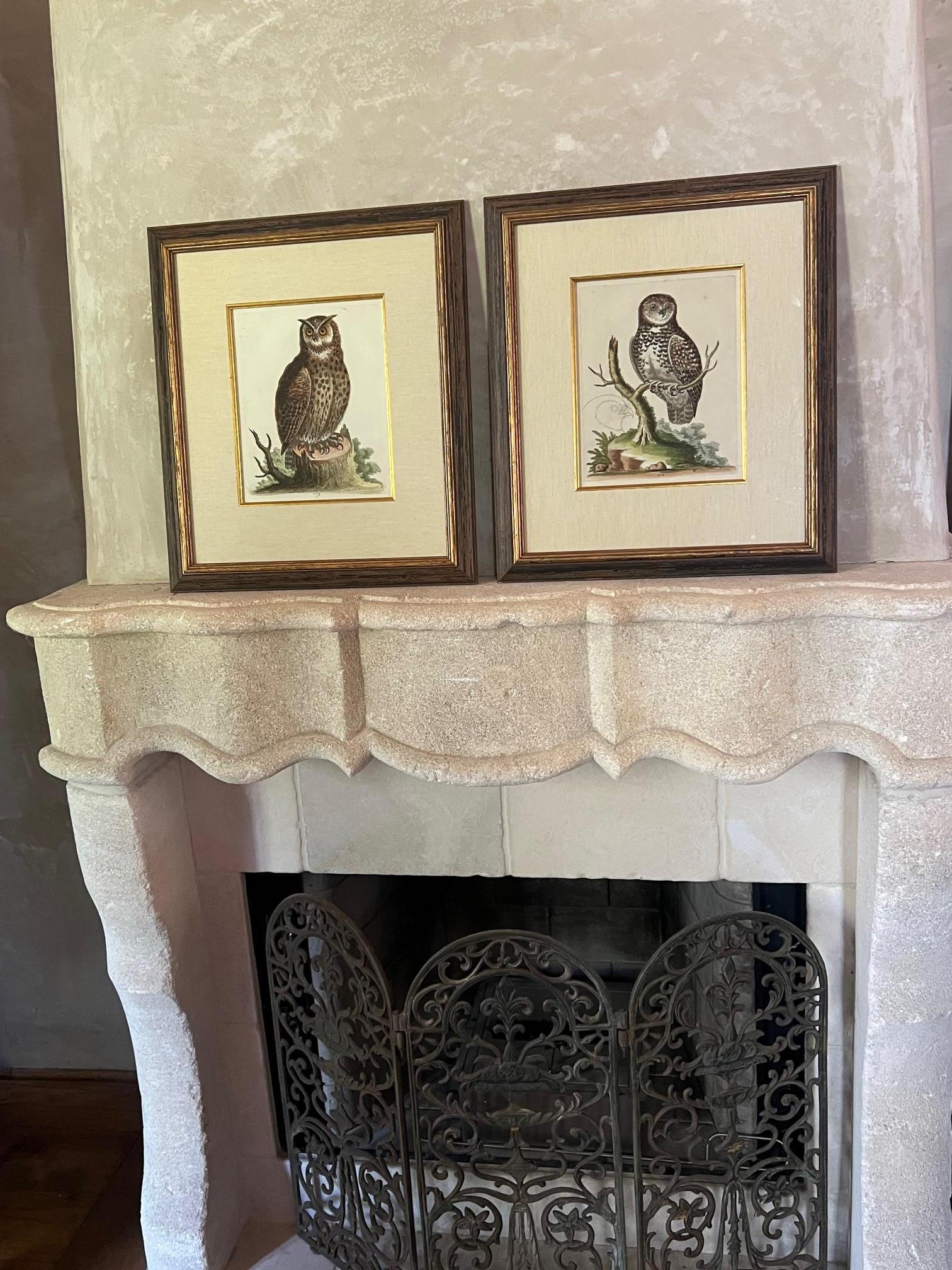 Satz von zwei handkolorierten Stichen von George Edwards (Englisch, 1694-1773). Professionell gerahmt und in Leinen eingepasst.
