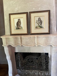 Incisioni colorate a mano del 18° secolo di George Edwards, set di 2