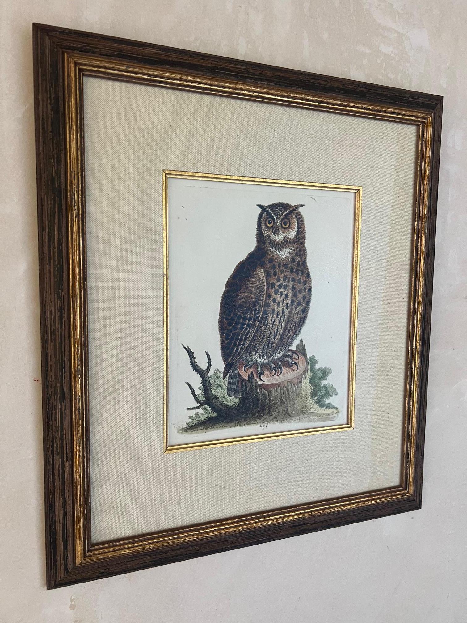 Handkolorierte Stiche von George Edwards aus dem 18. Jahrhundert, 2 Exemplare (George II.) im Angebot