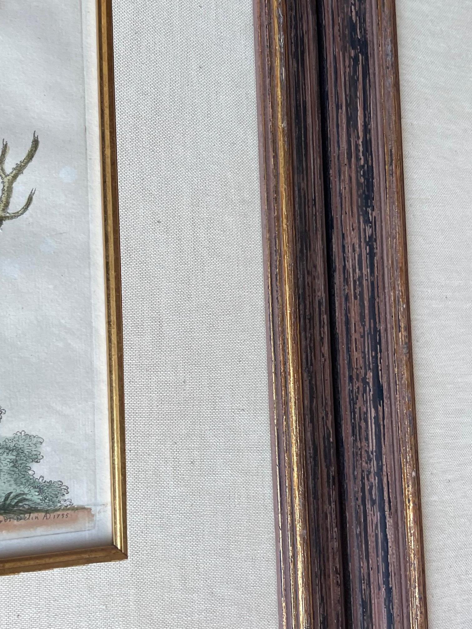 Handkolorierte Stiche von George Edwards aus dem 18. Jahrhundert, 2 Exemplare (Handbemalt) im Angebot