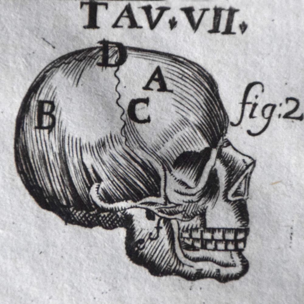 18th Century Human Body Medical Lithograph Prints 2