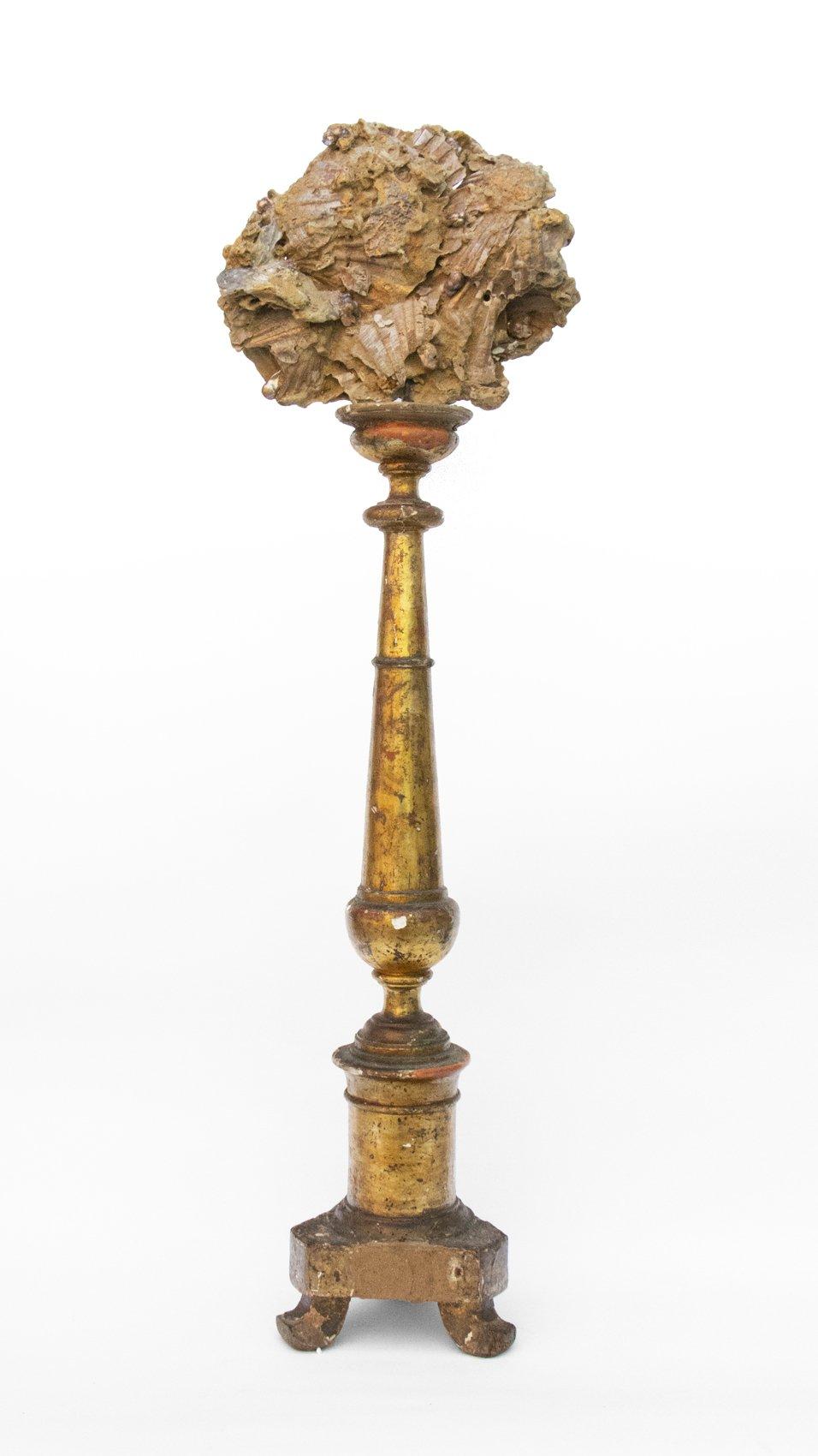 18th century Italian gold leaf altar stick with a Chesapecten plated fossil scallop shell and natural forming Baroque pearls. 

The Chesapecten plated fossil scallop shell is hand-pulled from the banks of the James River. It is said to be about 3