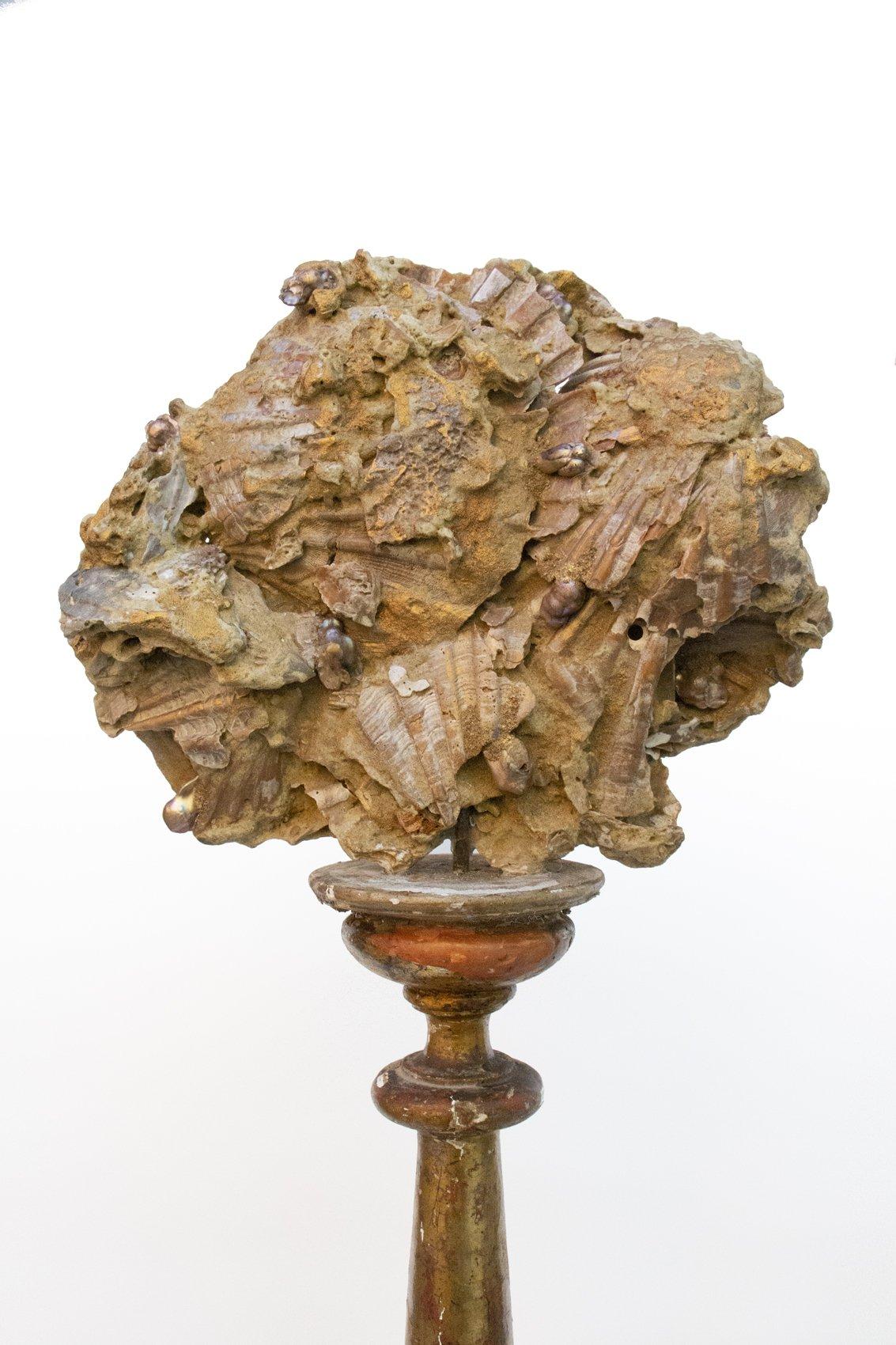 Rococo 18th Century Italian Altar Stick with a Chesapecten Fossil Scallop Shell & Pearl For Sale