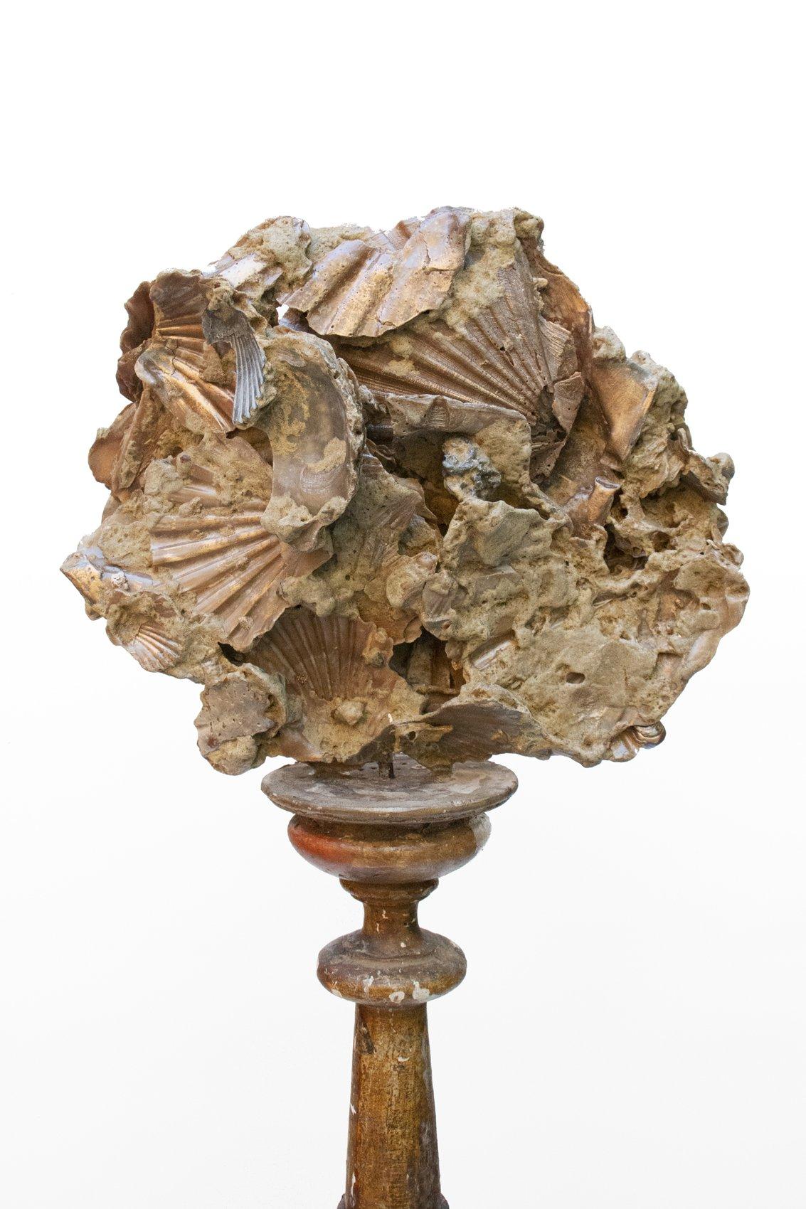18th Century Italian Altar Stick with a Chesapecten Fossil Scallop Shell & Pearl In Fair Condition For Sale In Dublin, Dalkey