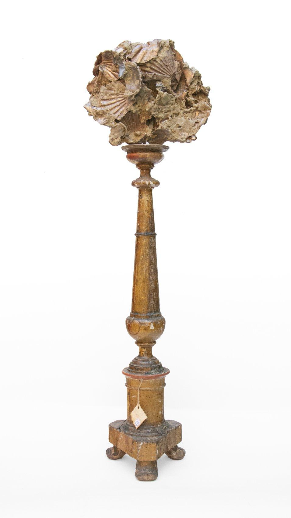 18th Century Italian Altar Stick with a Chesapecten Fossil Scallop Shell & Pearl For Sale 1