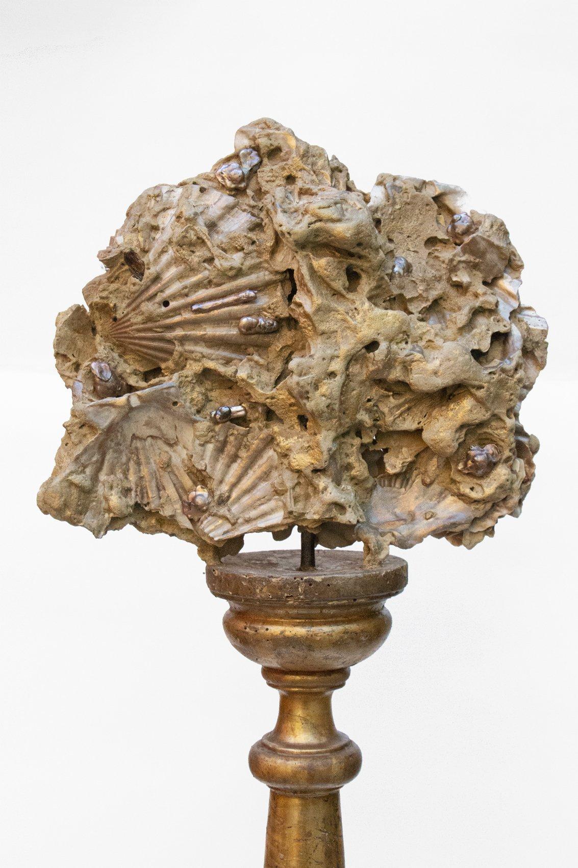 18th century Italian gold leaf altar stick with a Chesapecten plated fossil scallop shell and natural forming Baroque pearls. 

The Chesapecten plated fossil scallop shell is hand-pulled from the banks of the James River. It is said to be about 3