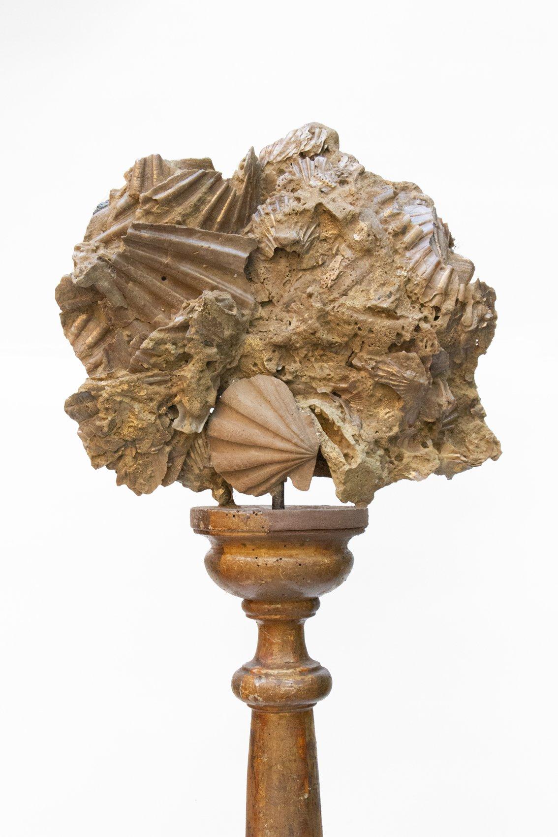 18th Century Italian Altar Stick with a Chesapecten Fossil Shell and Pearls  In Fair Condition For Sale In Dublin, Dalkey